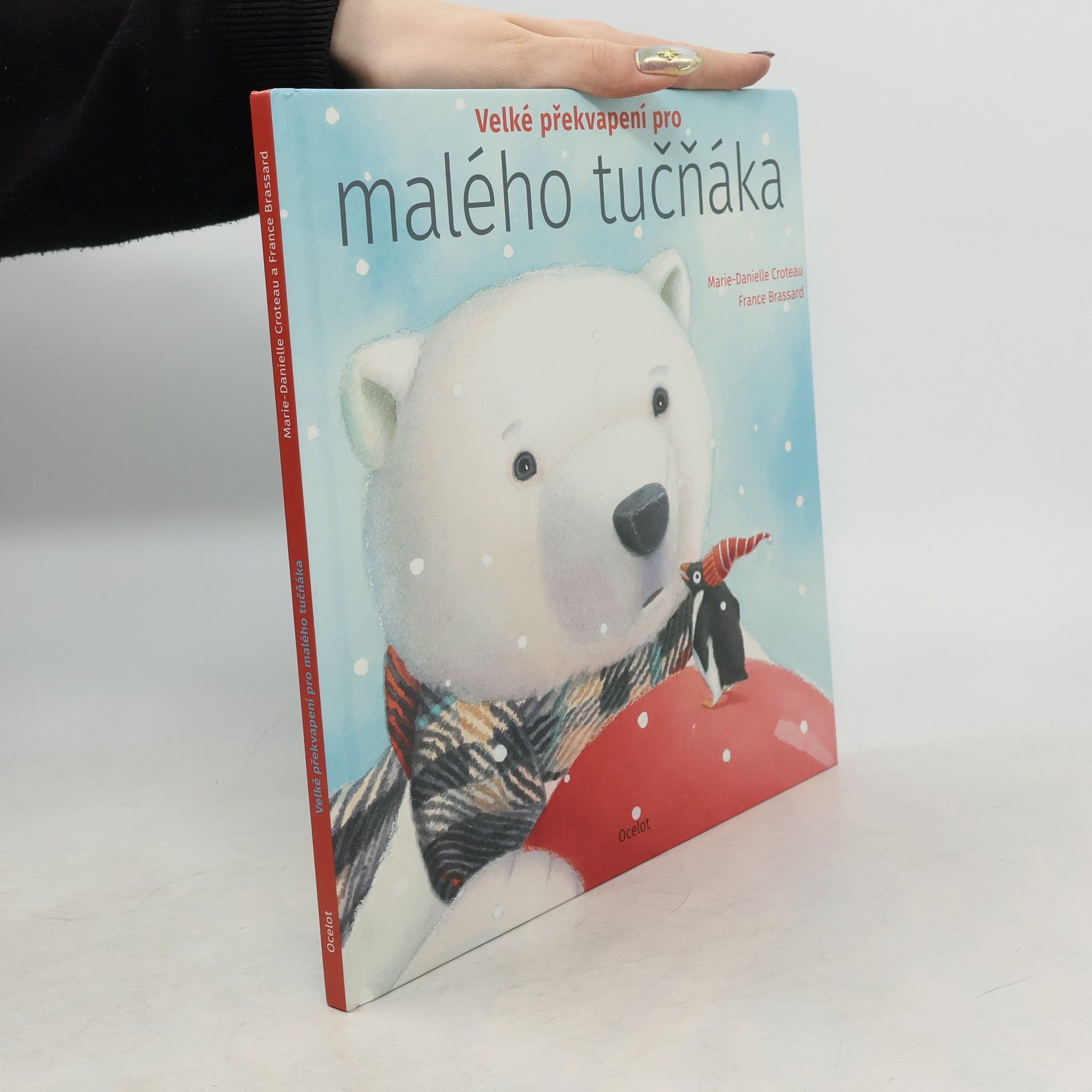 Velké překvapení pro malého tučňáka