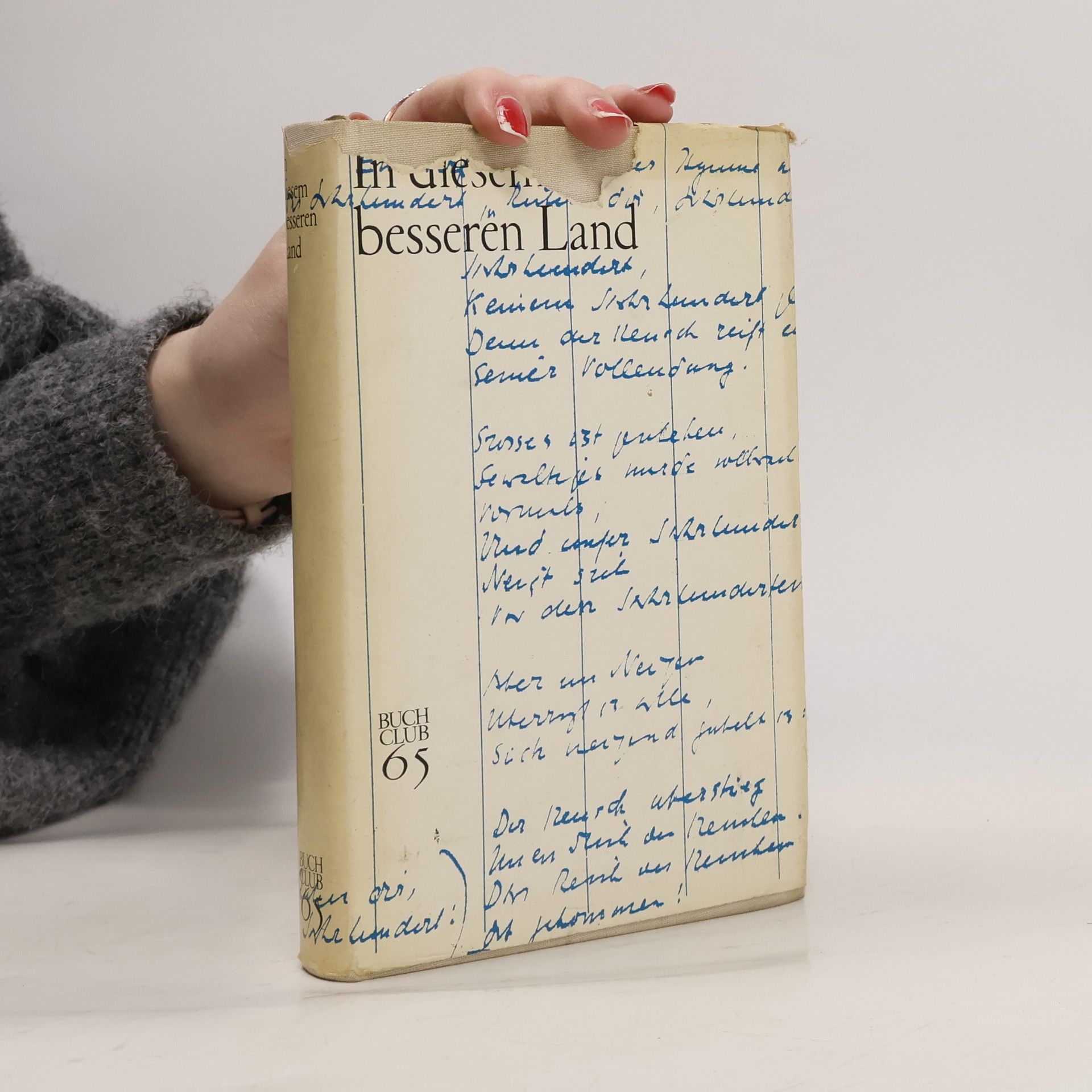 Autorenkollektiv In diesem besseren Land