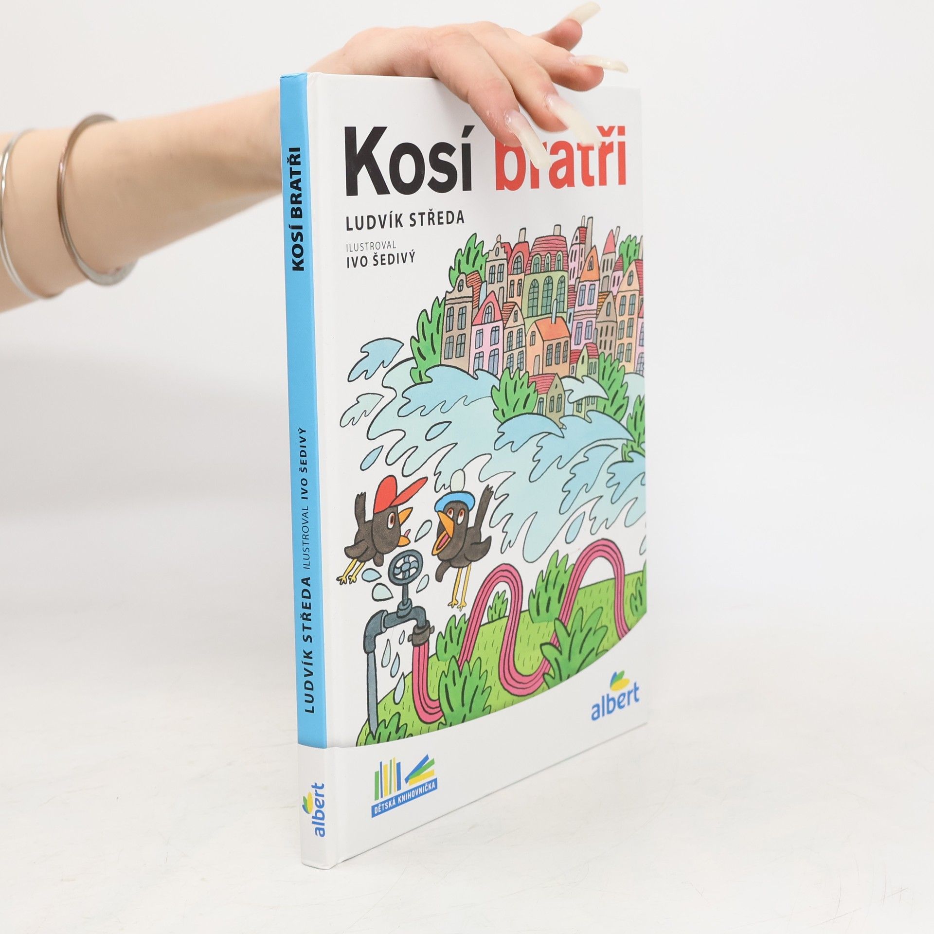 Ludvík Středa Kosí bratři