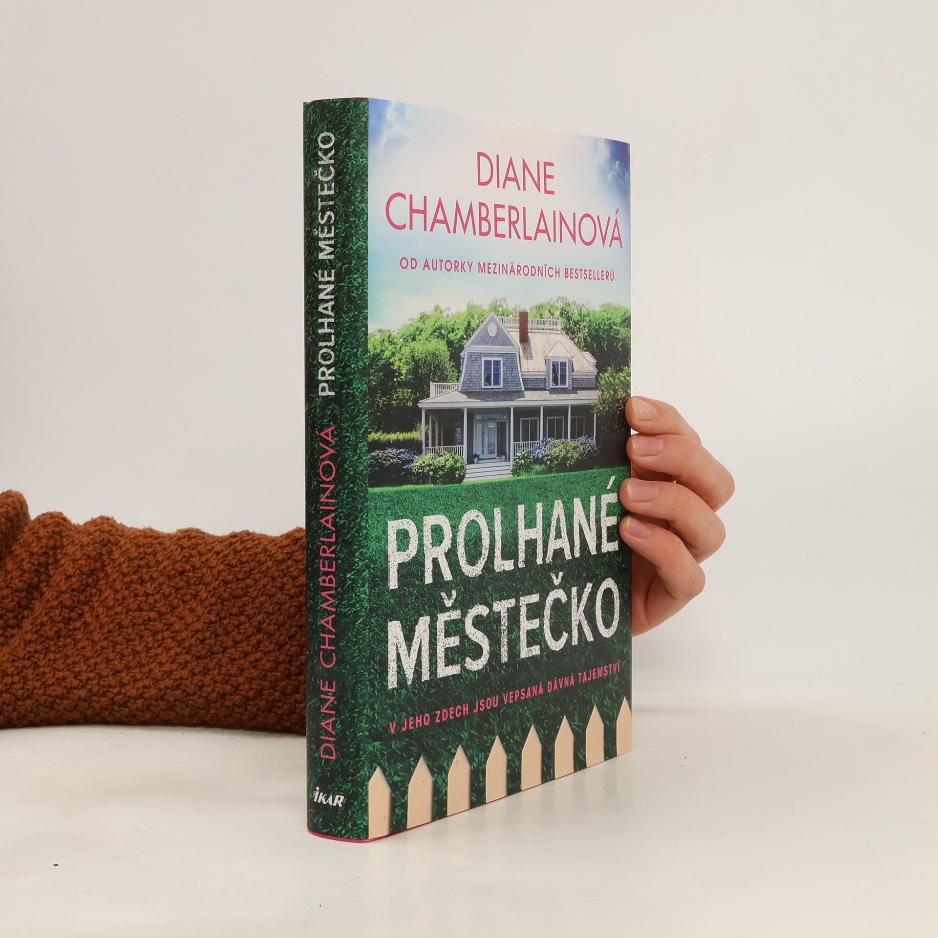 Diane Chamberlain Prolhané městečko