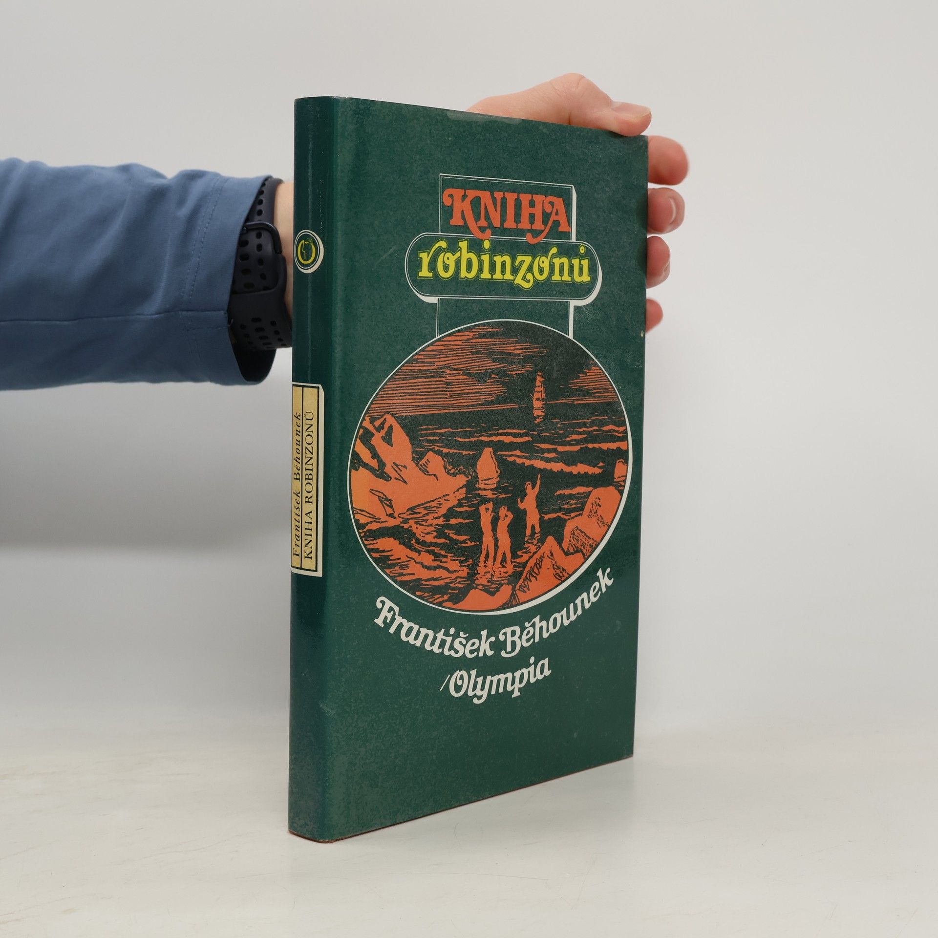 Kniha robinzonů