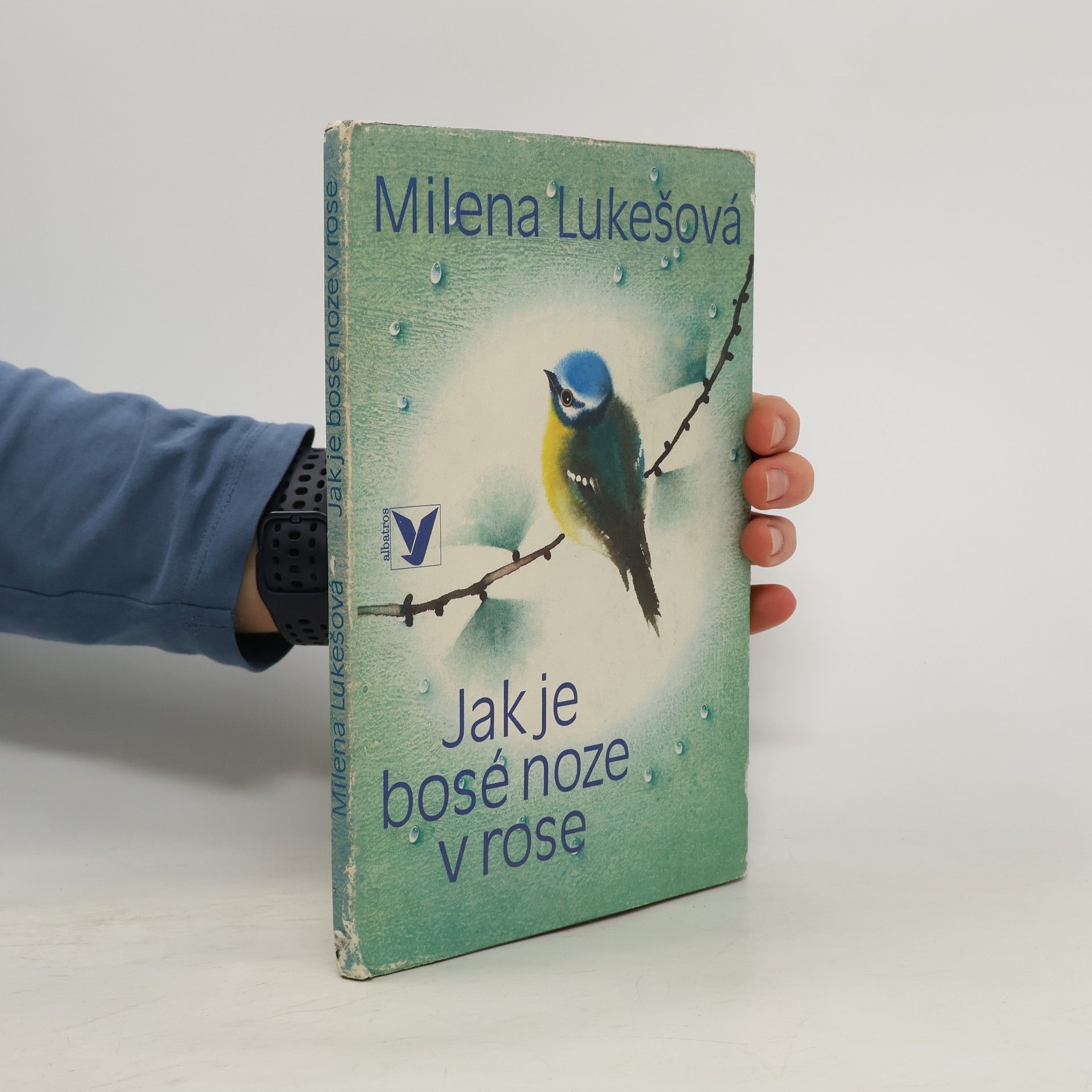 Jak je bosé noze v rose