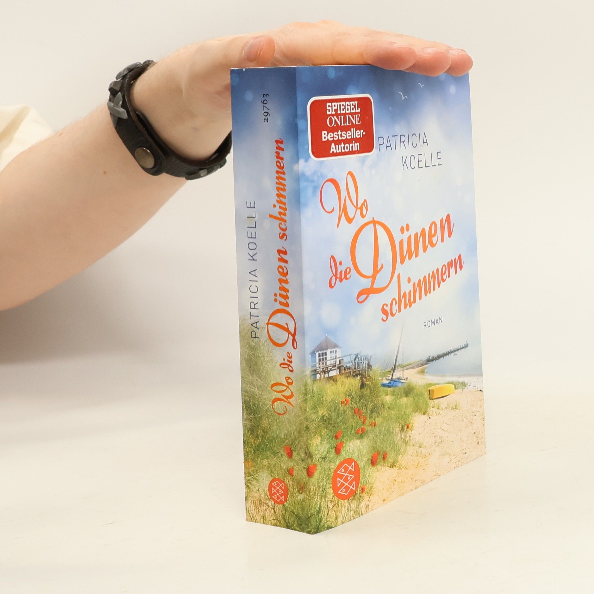 Wo die Dünen schimmern