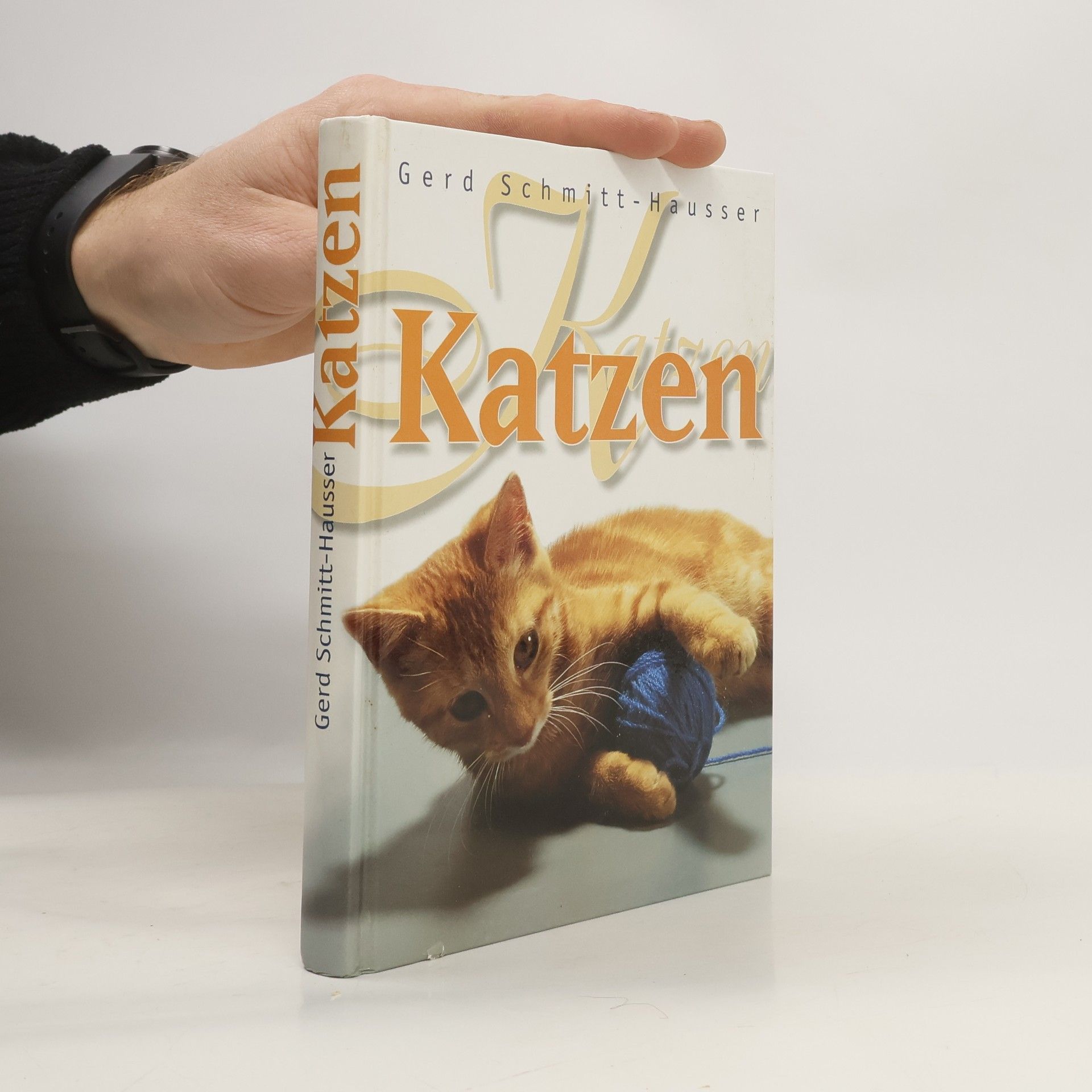 Katzen