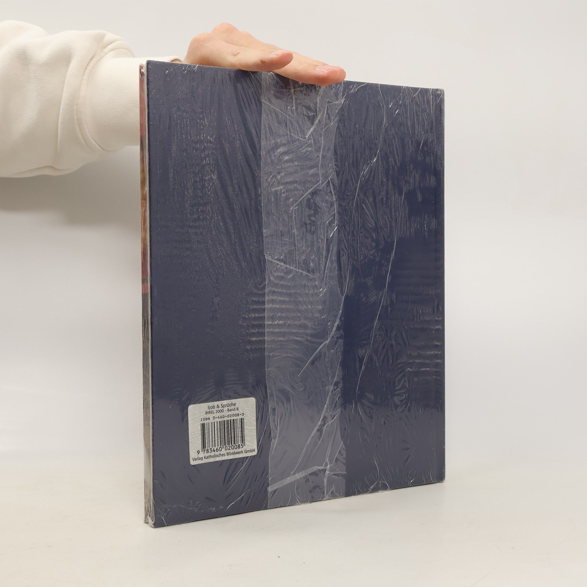 Bibel 2000 - 8: Ijob & Sprichwörter