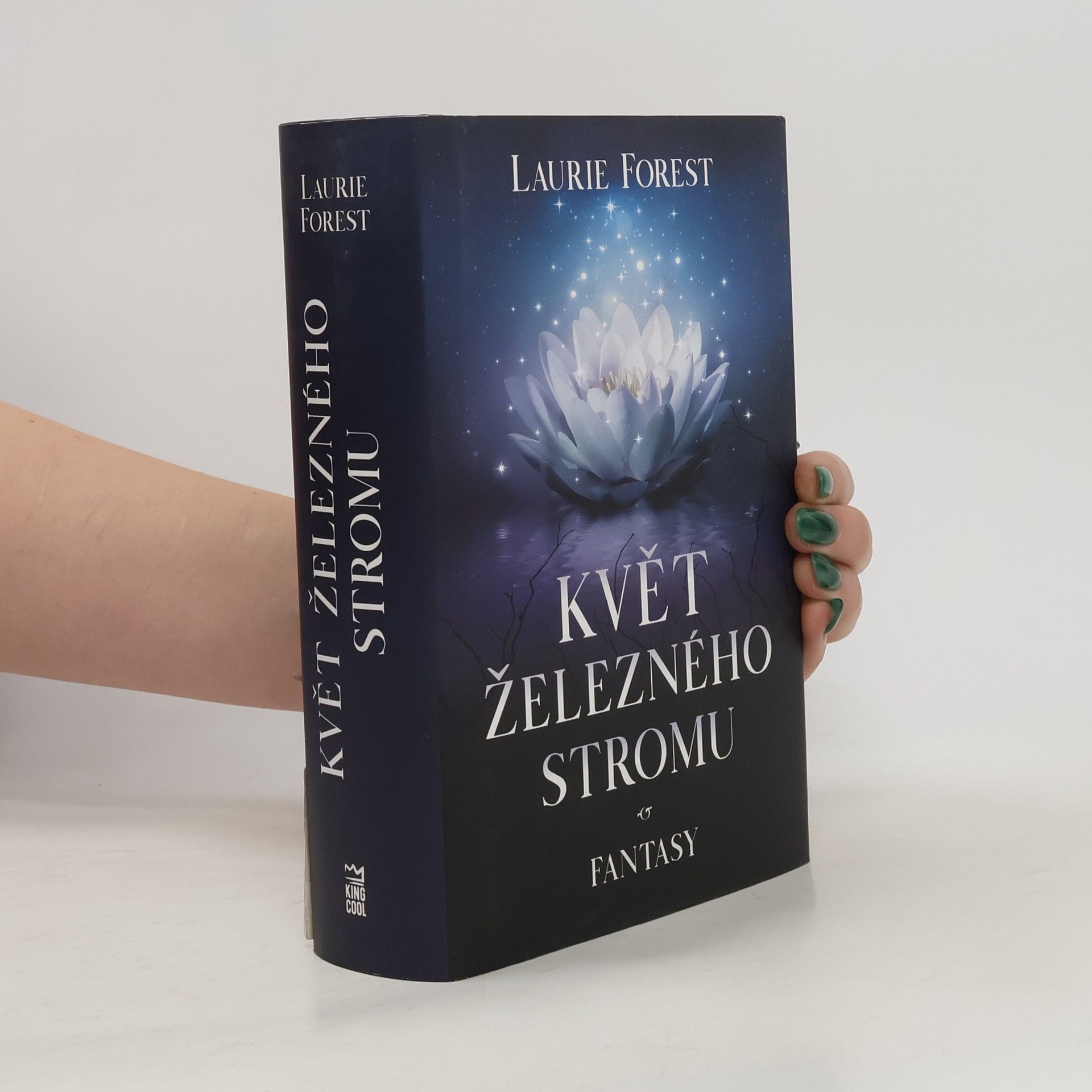 Laurie Forest Černá čarodějka