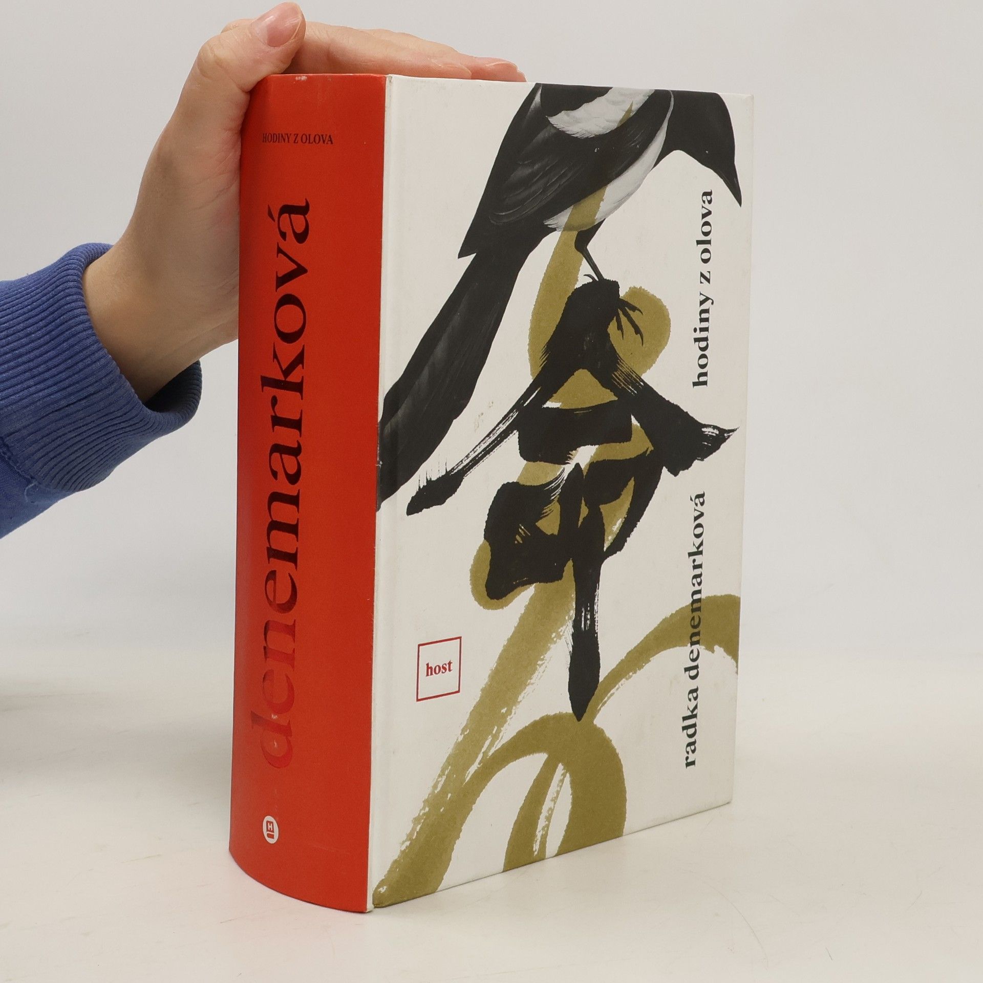 Radka Denemarková Hodiny z olova