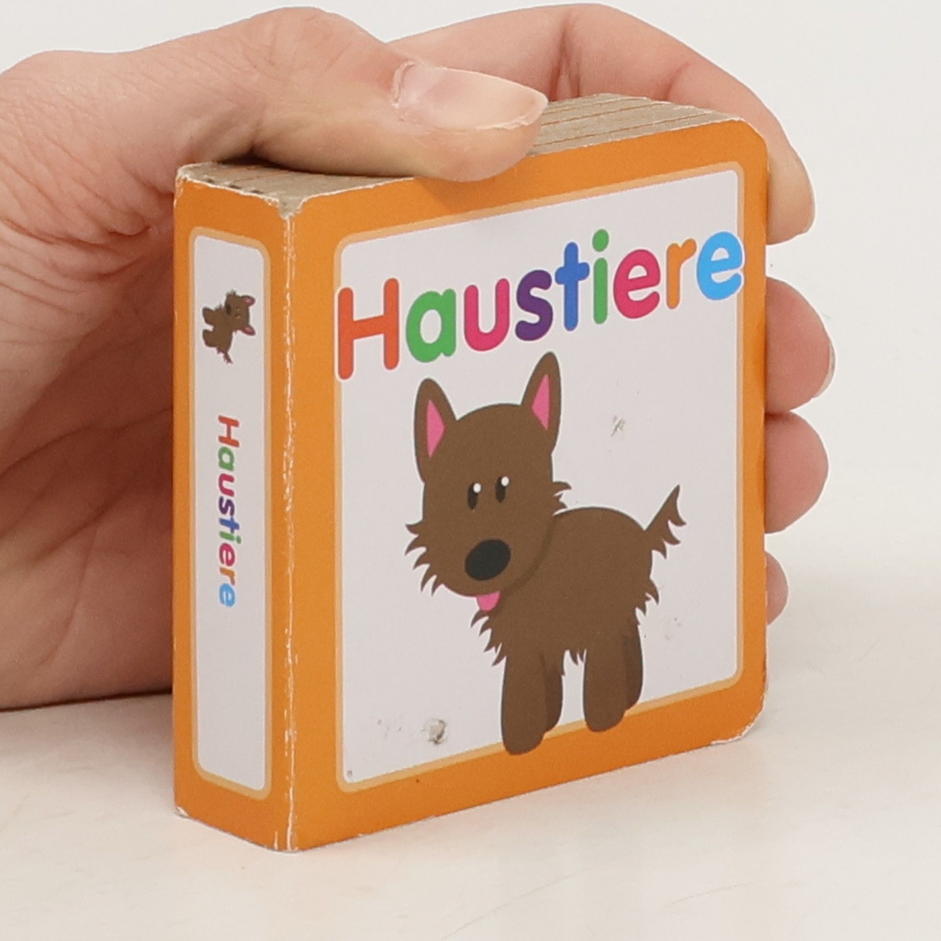 Autorenkollektiv Haustiere