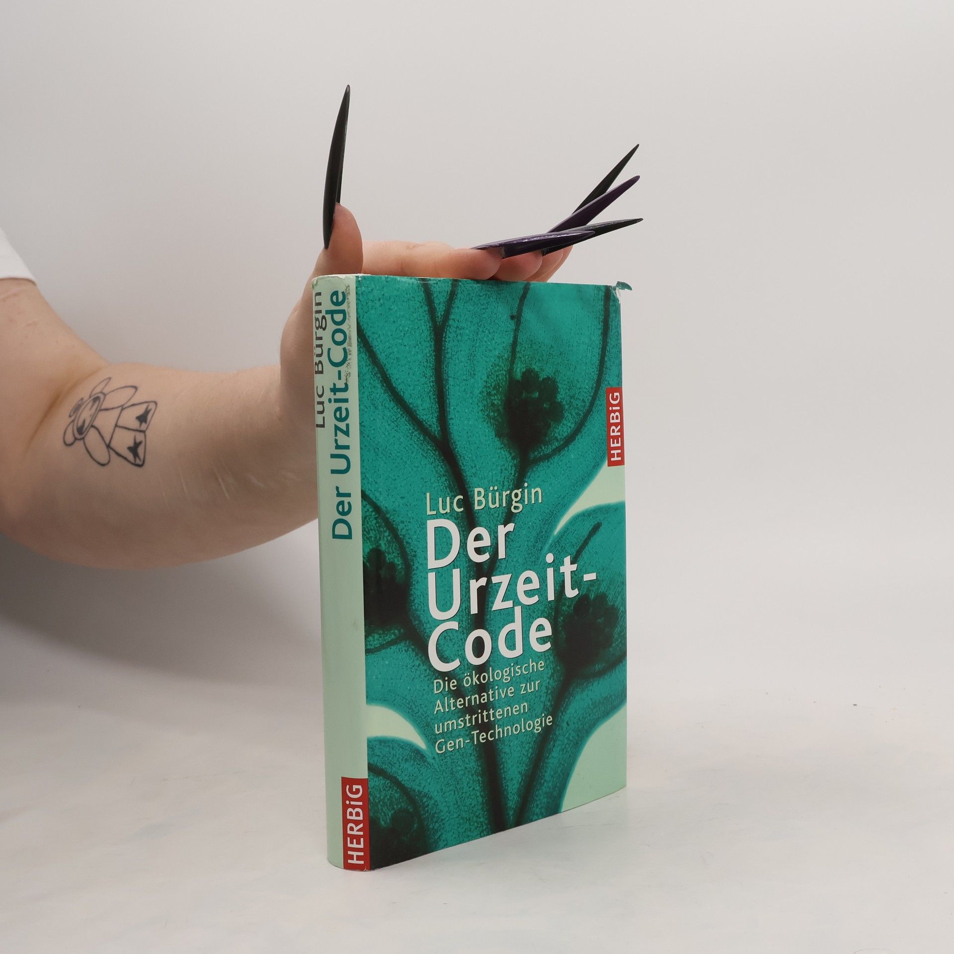 Luc Bürgin Der Urzeit-Code