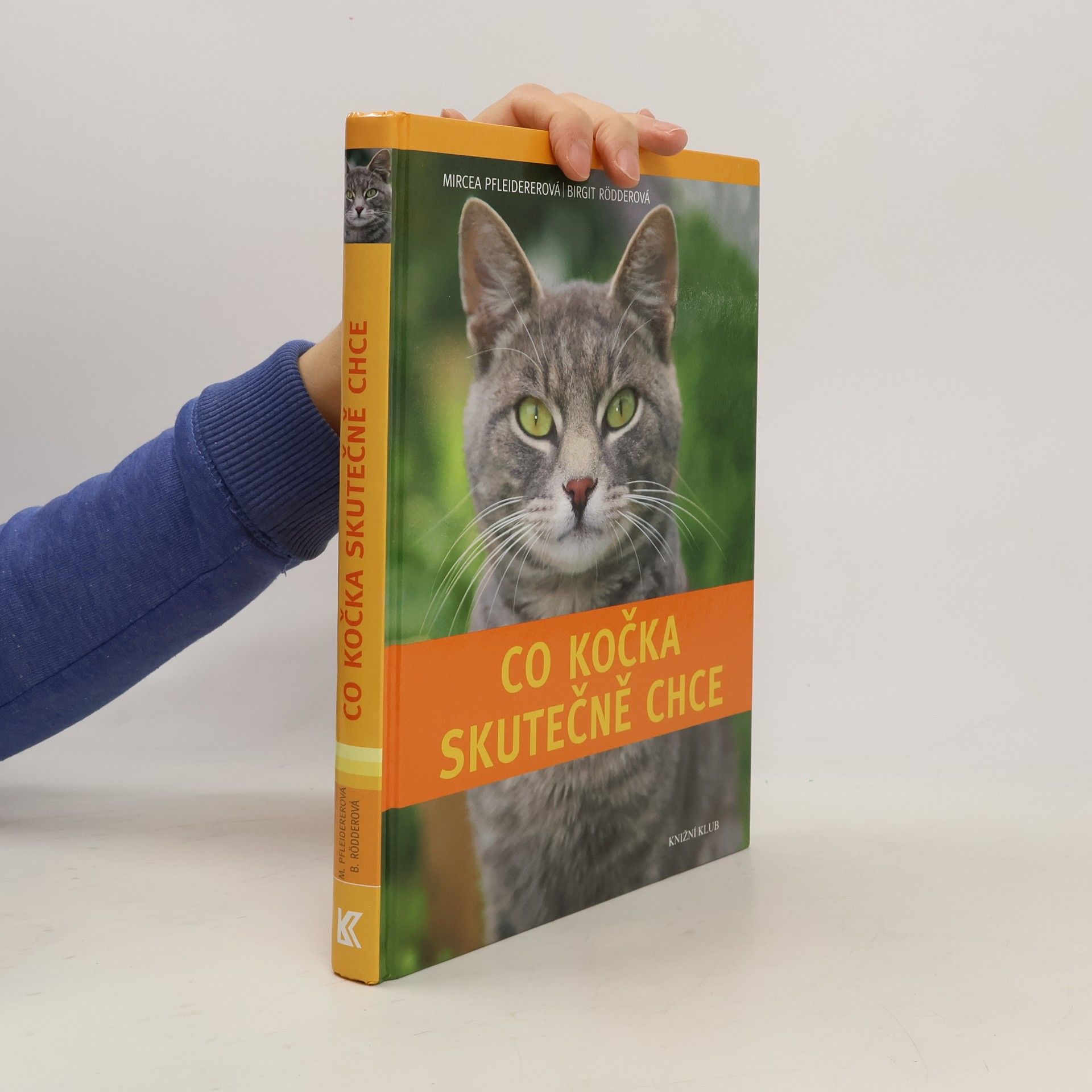 Co kočka skutečně chce