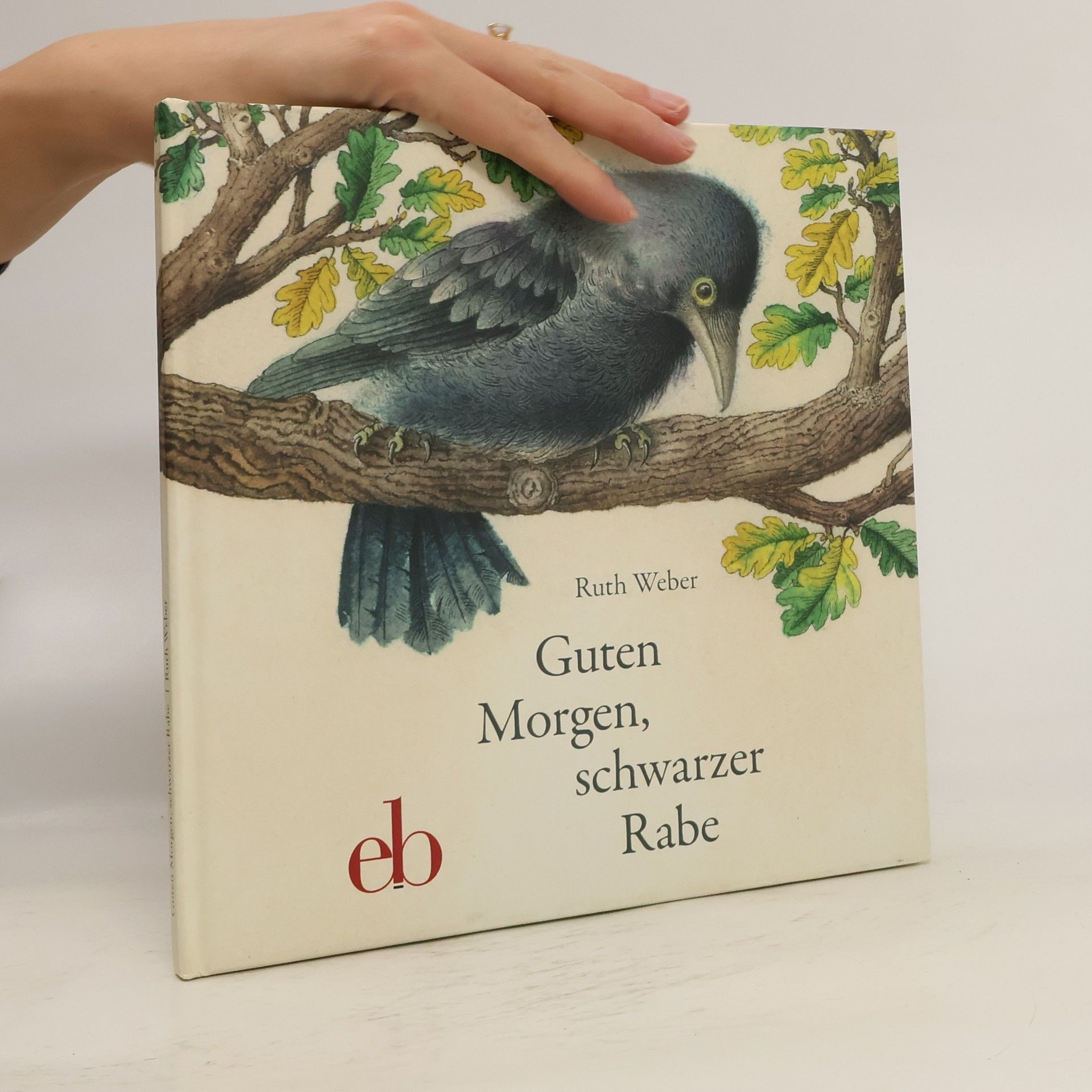 Guten Morgen, schwarzer Rabe