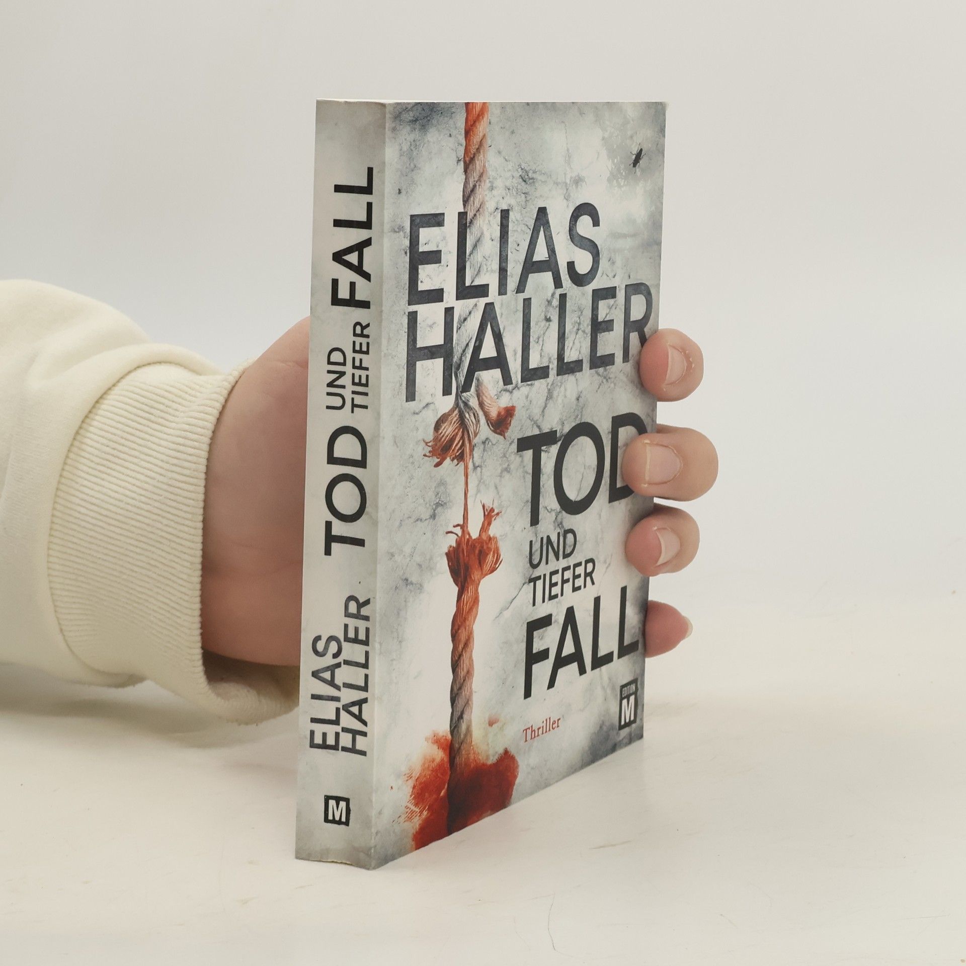 Elias Haller Tod und tiefer Fall
