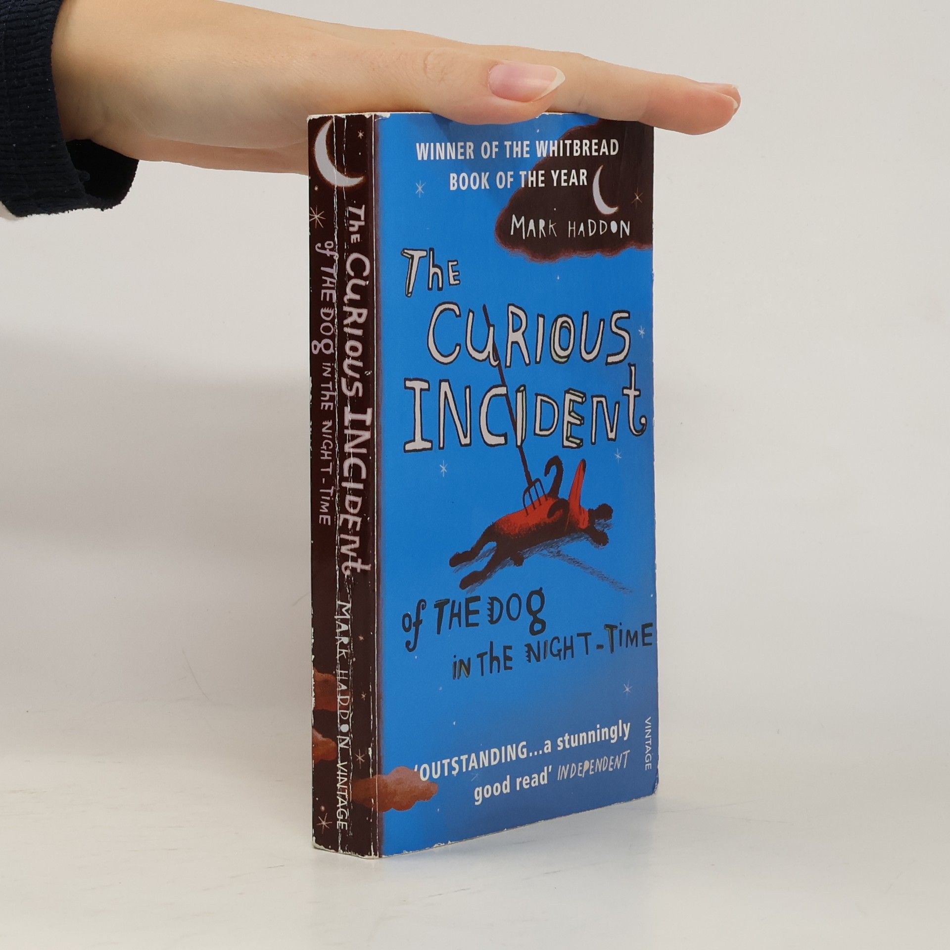 Mark Haddon The Curious Incident of The Dog in The Night-Time