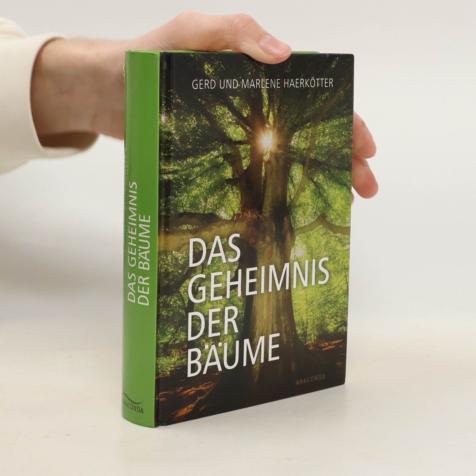 Gerd Haerkötter Das Geheimnis der Bäume