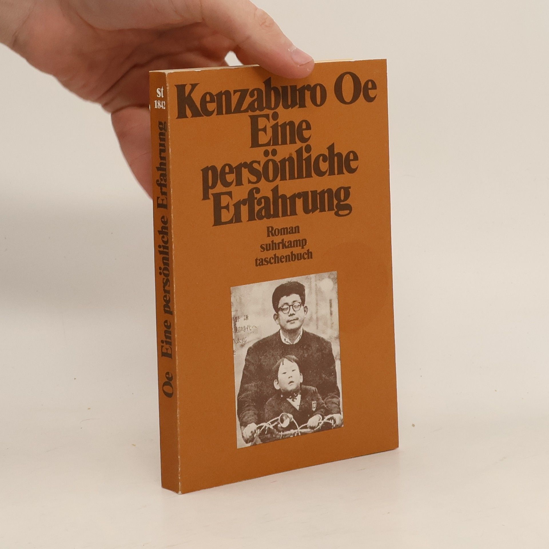 Kenzaburō Ōe Eine persönliche Erfahrung