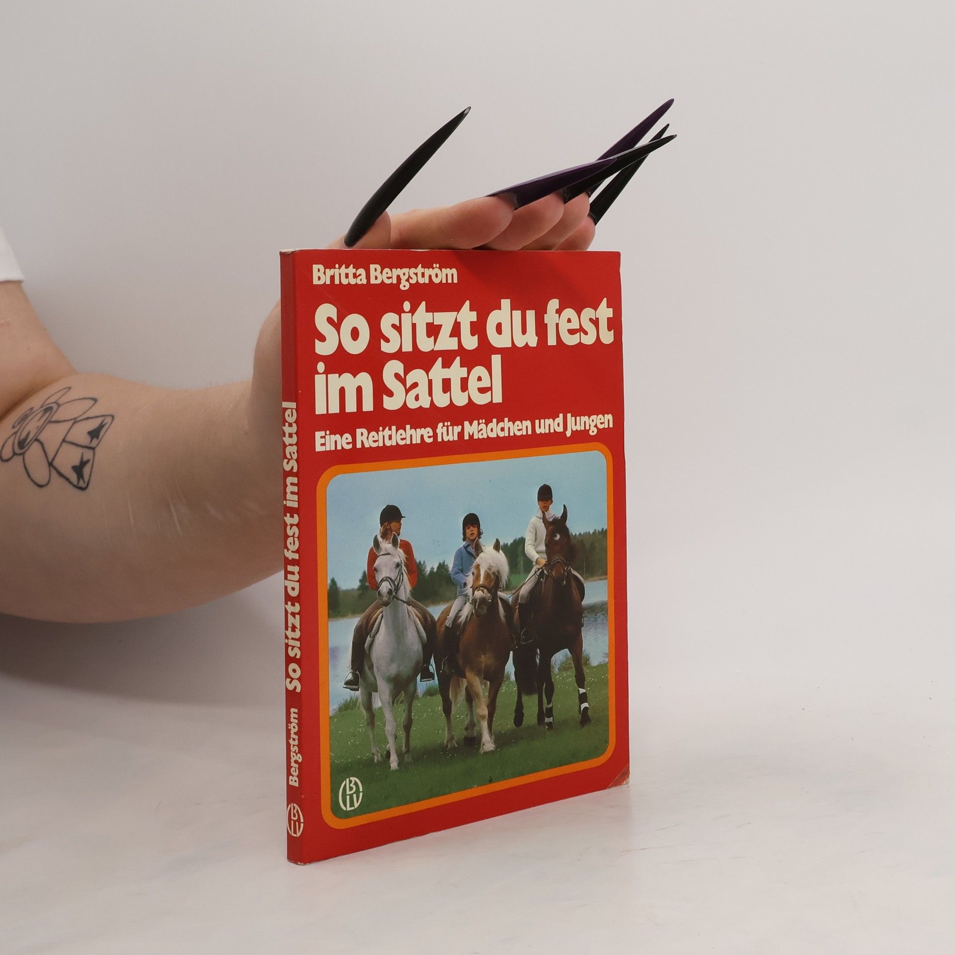Britta Bergström So sitzt du fest im Sattel