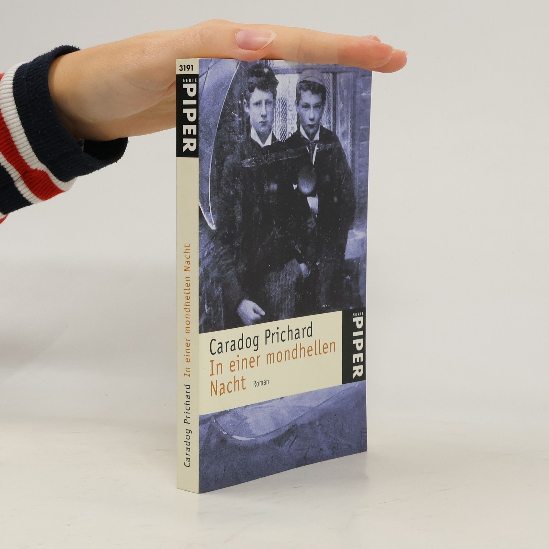 Caradog Prichard In einer mondhellen Nacht