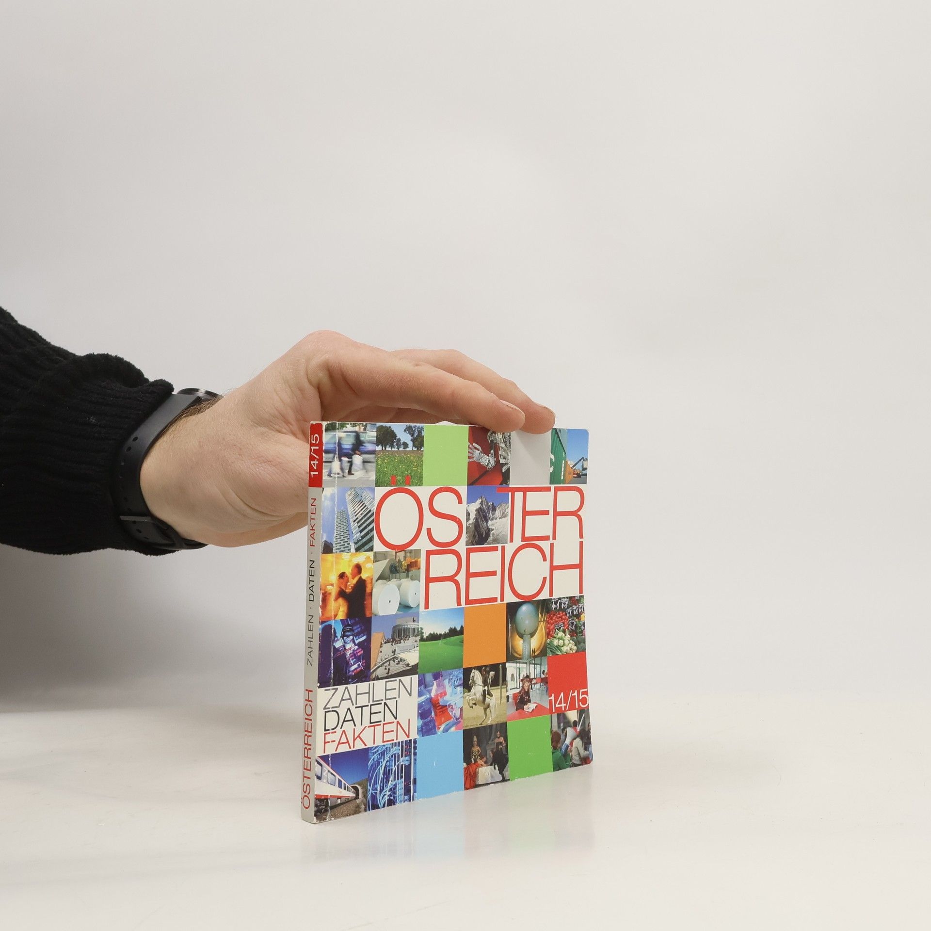 Kolektív autorov Österreich : Zahlen, Daten, Fakten 14/15
