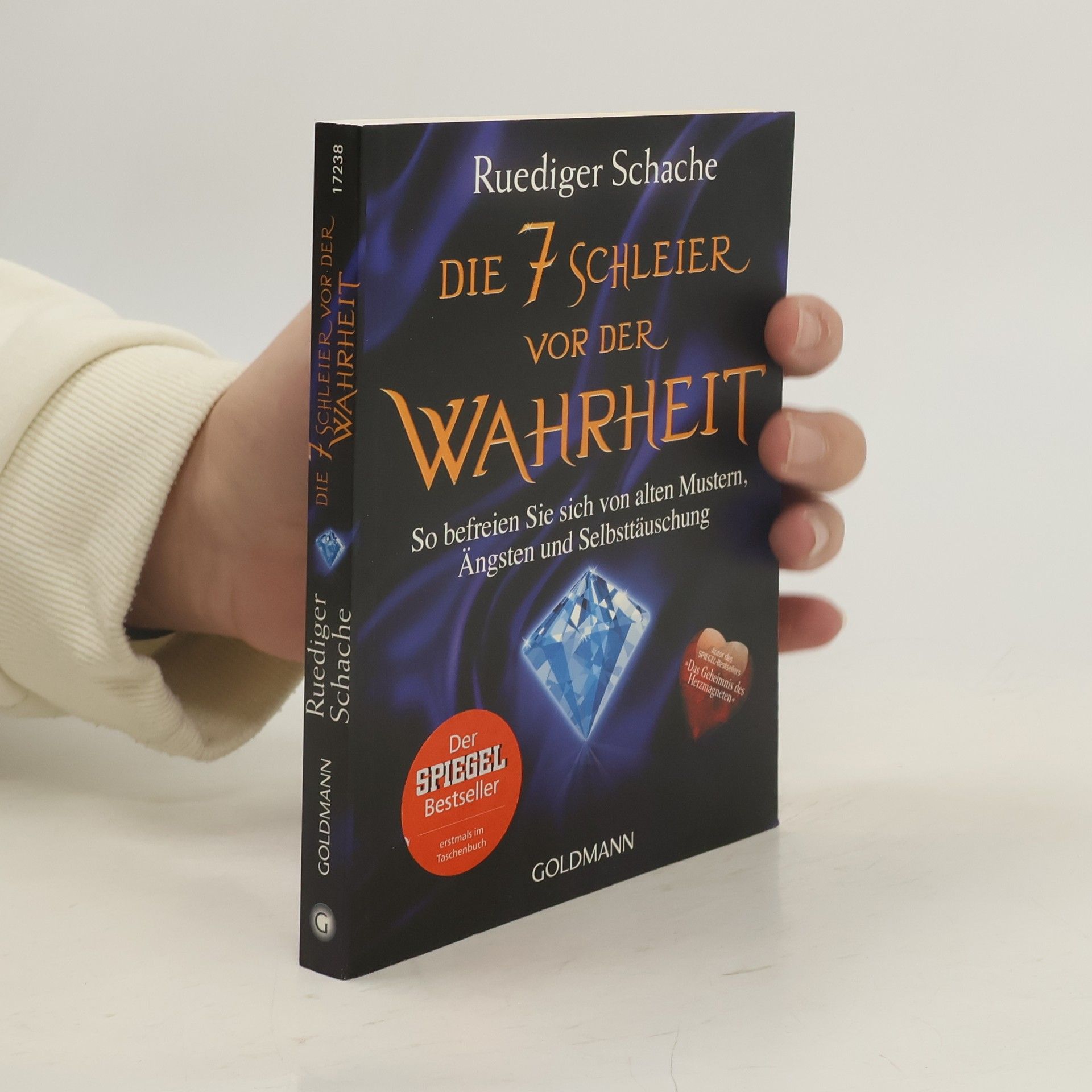 Ruediger Schache Die 7 Schleier vor der Wahrheit