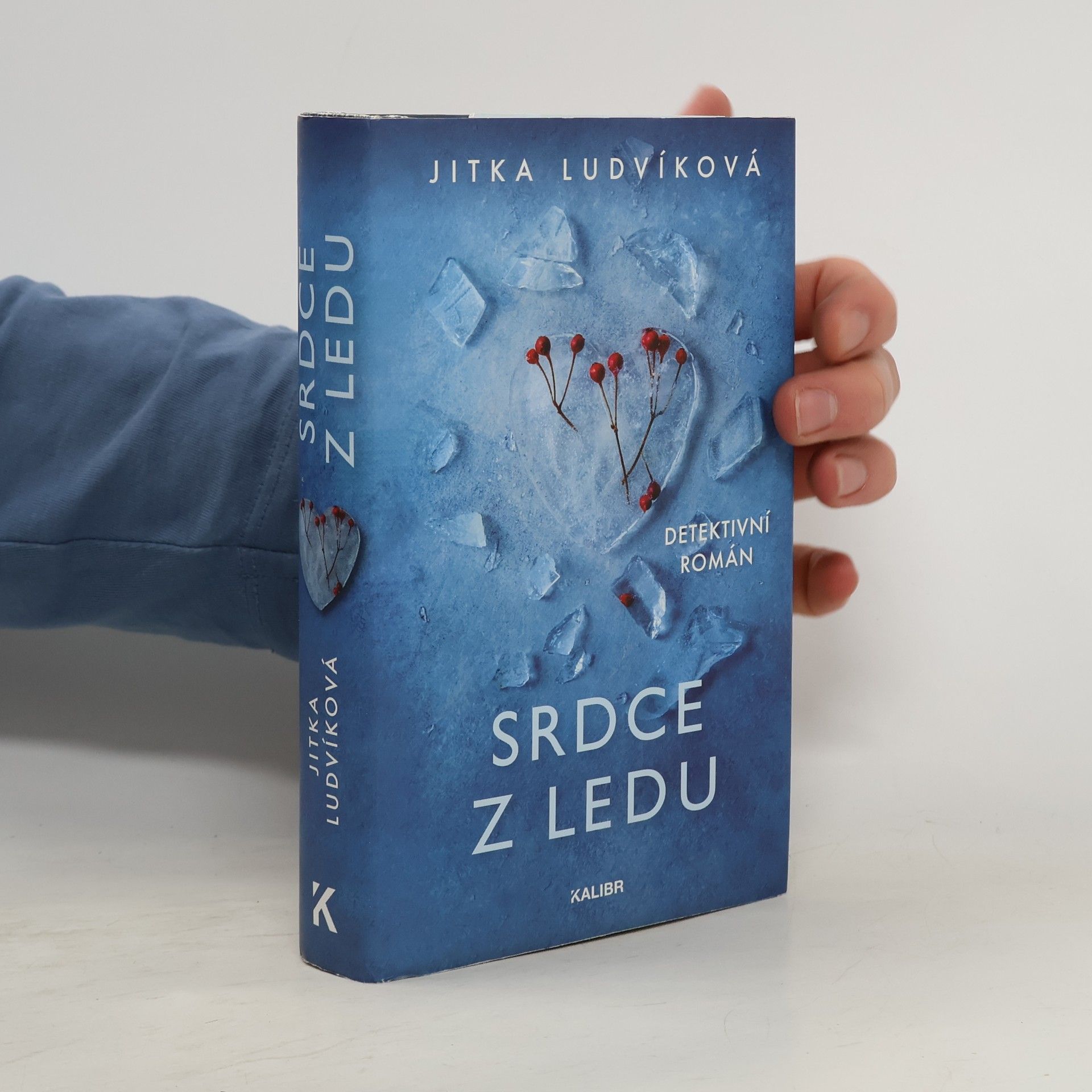 Jitka Ludvíková Srdce z ledu