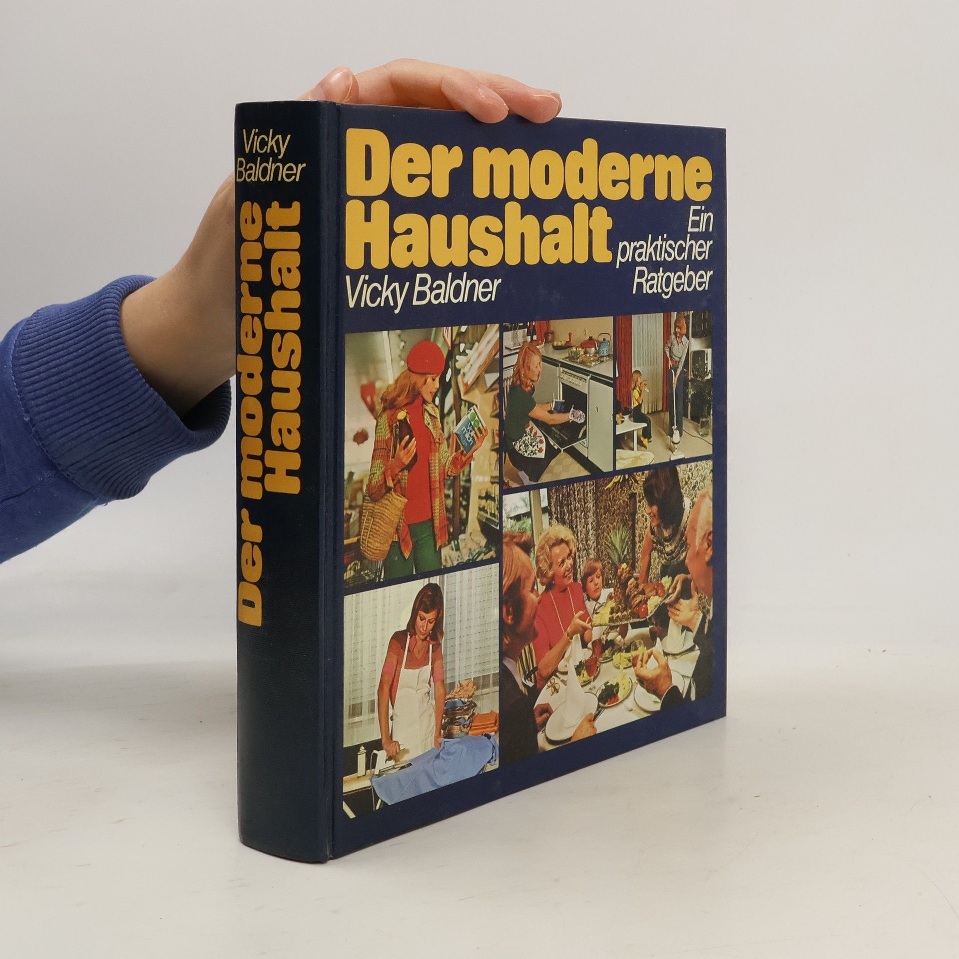 Vicky Baldner Der moderne Haushalt. Ein praktischer Ratgeber