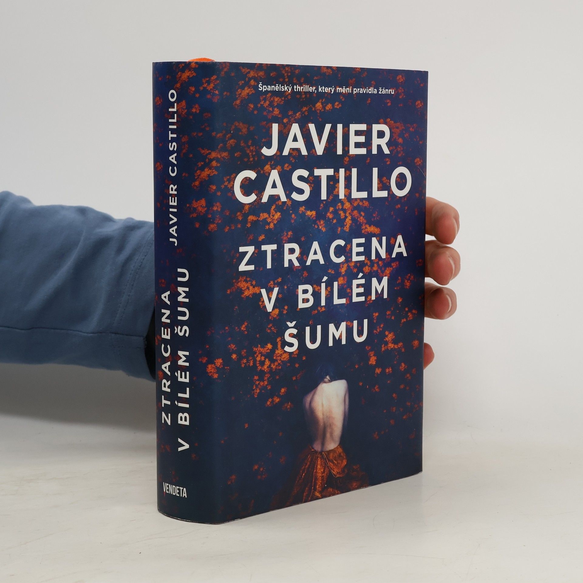 Javier Castillo Ztracena v bílém šumu