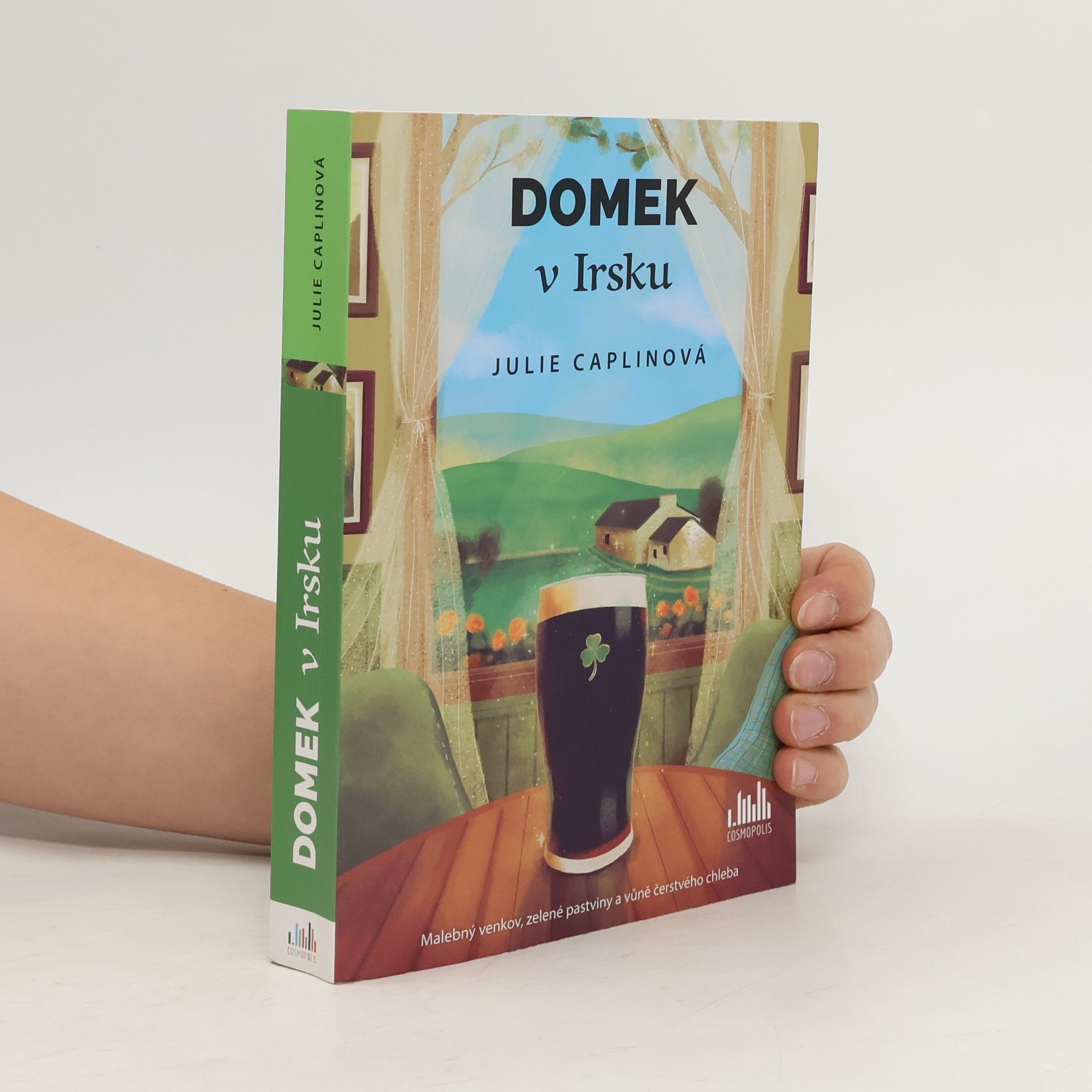 Domek v Irsku
