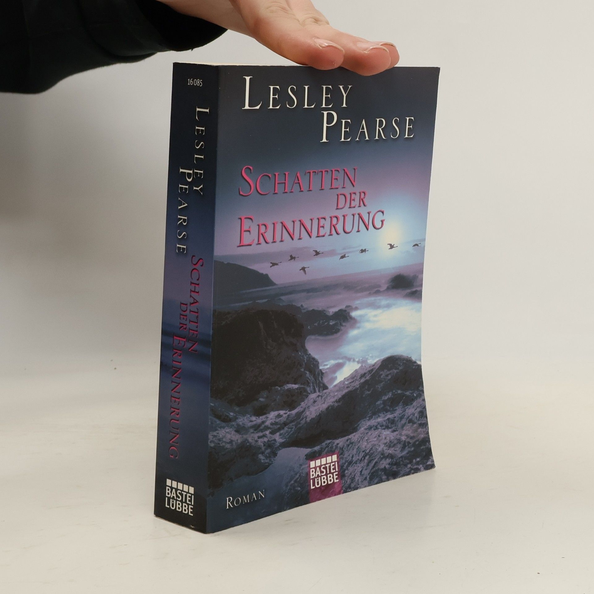 Lesley Pearse Schatten der Erinnerung