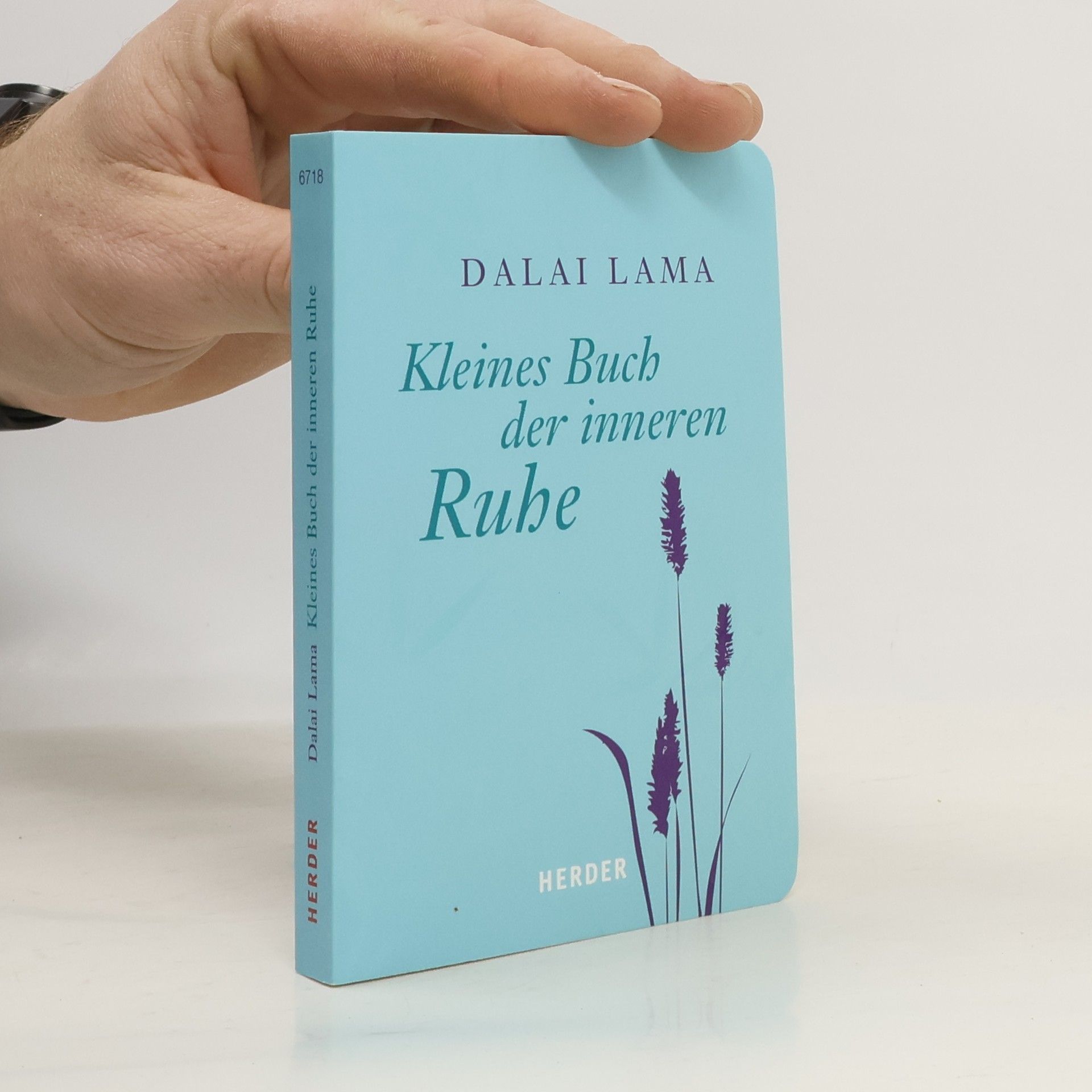 Kleines Buch der inneren Ruhe