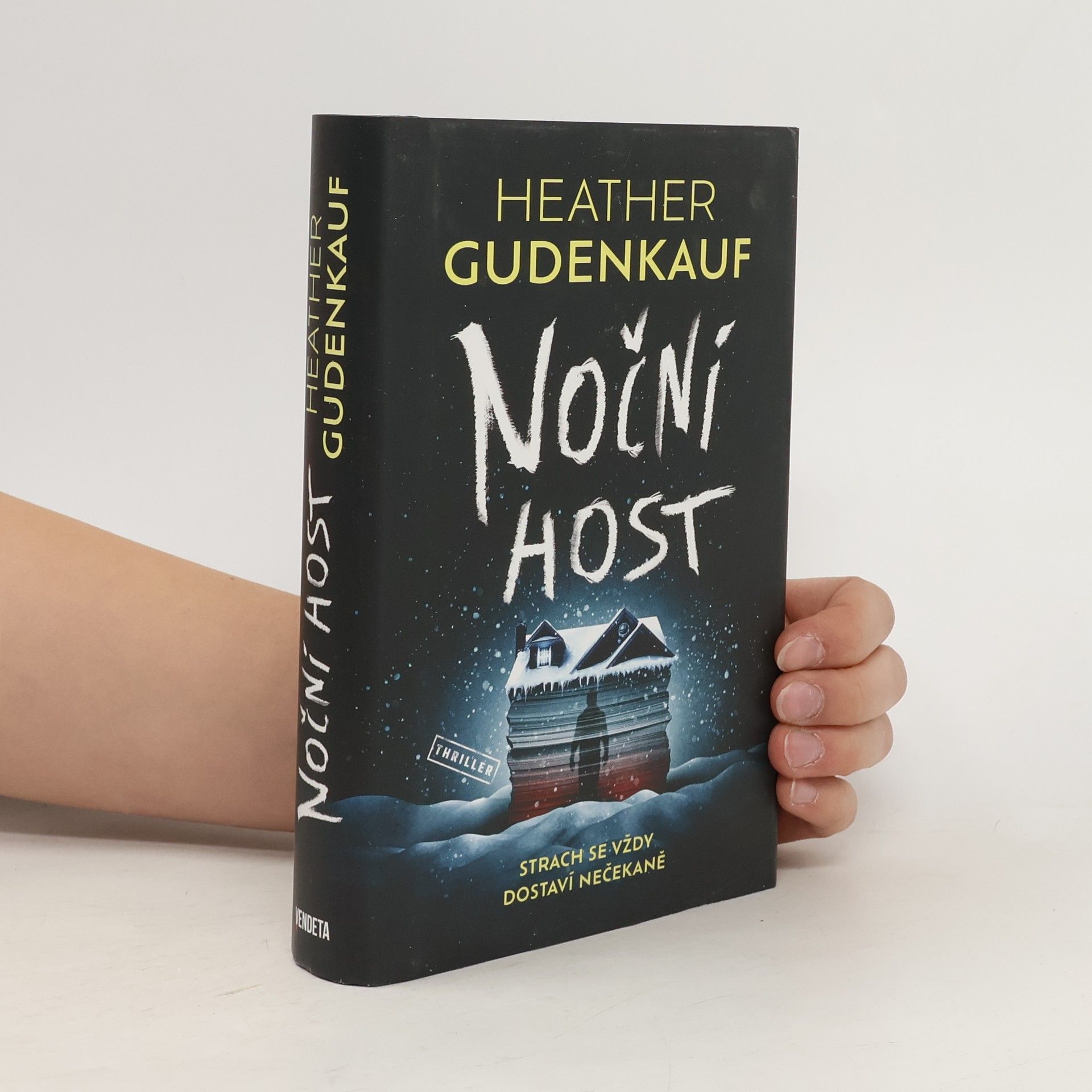 Heather Gudenkauf Noční host