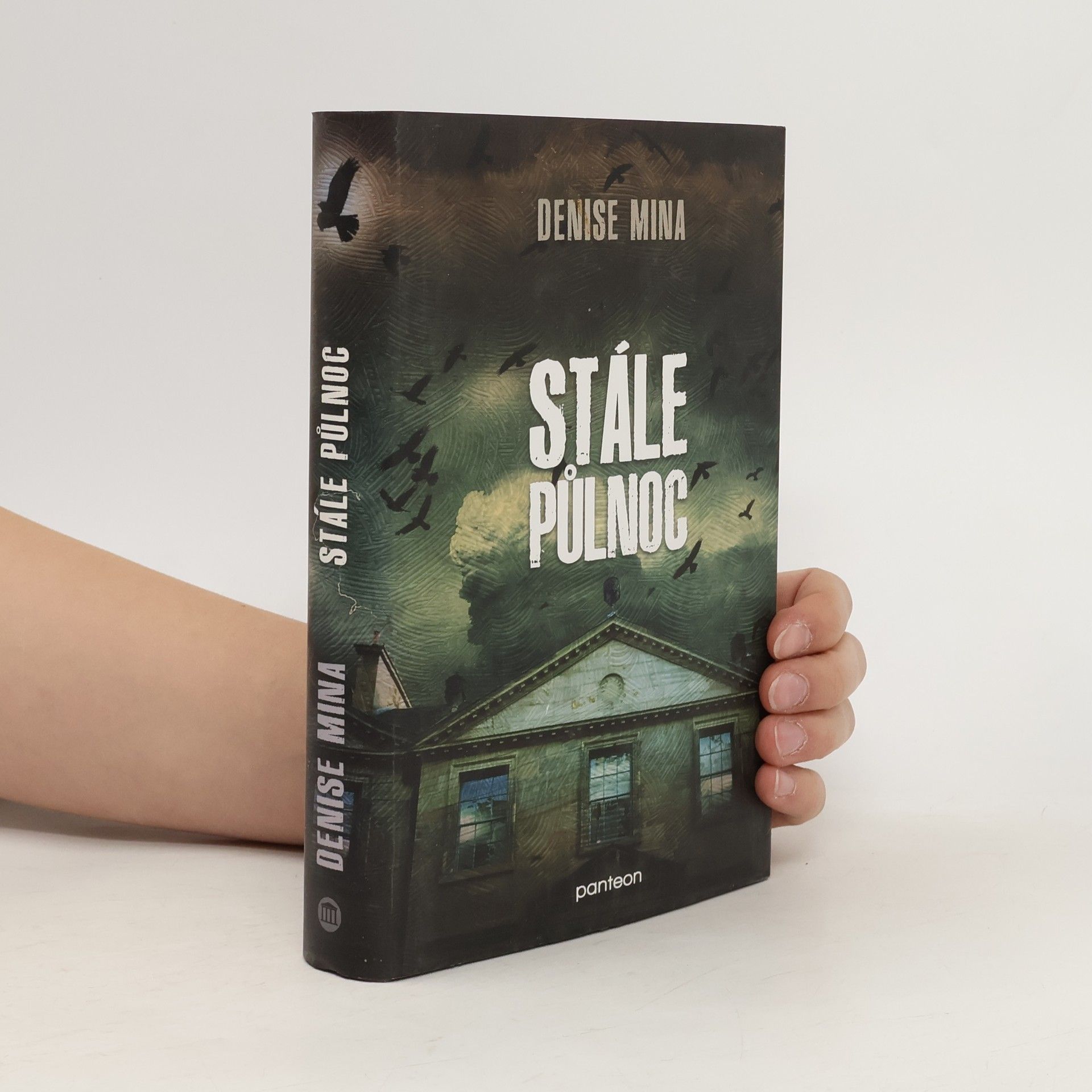 Denise Mina Stále půlnoc