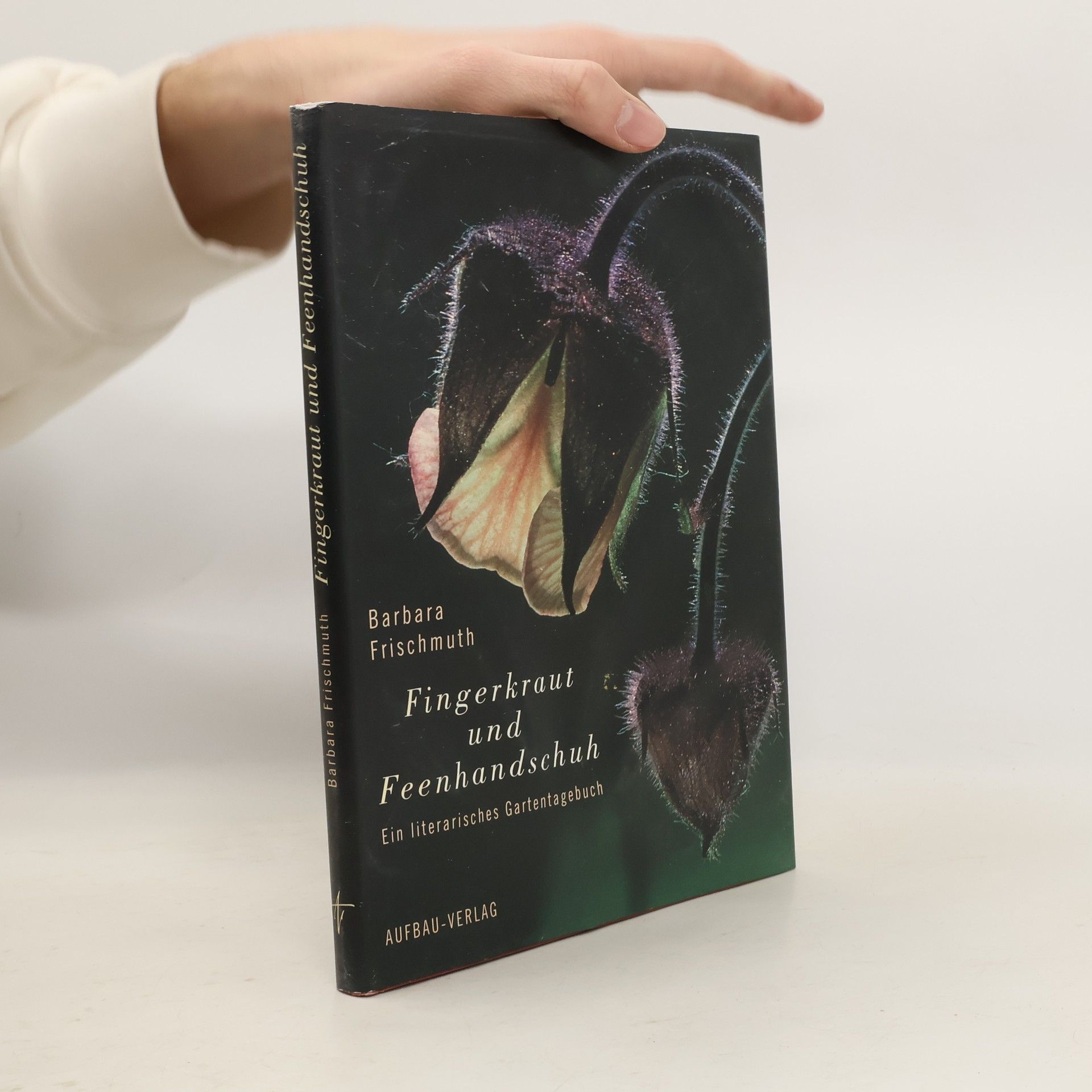 Fingerkraut und Feenhandschuh