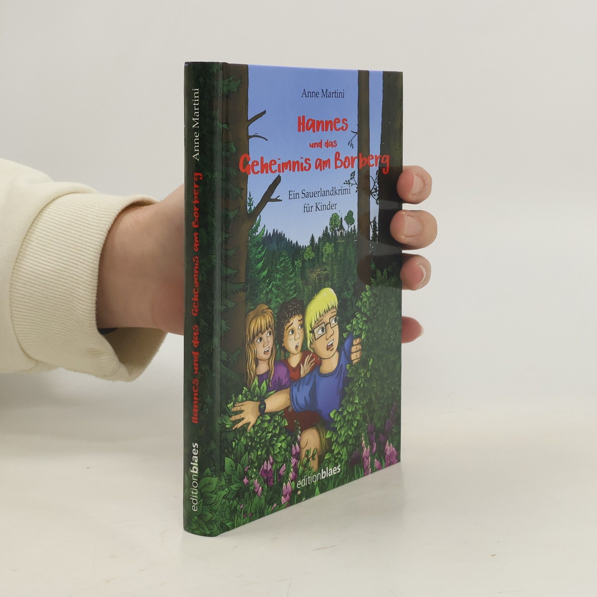 Anne Martini Hannes und das Geheimnis am Borberg