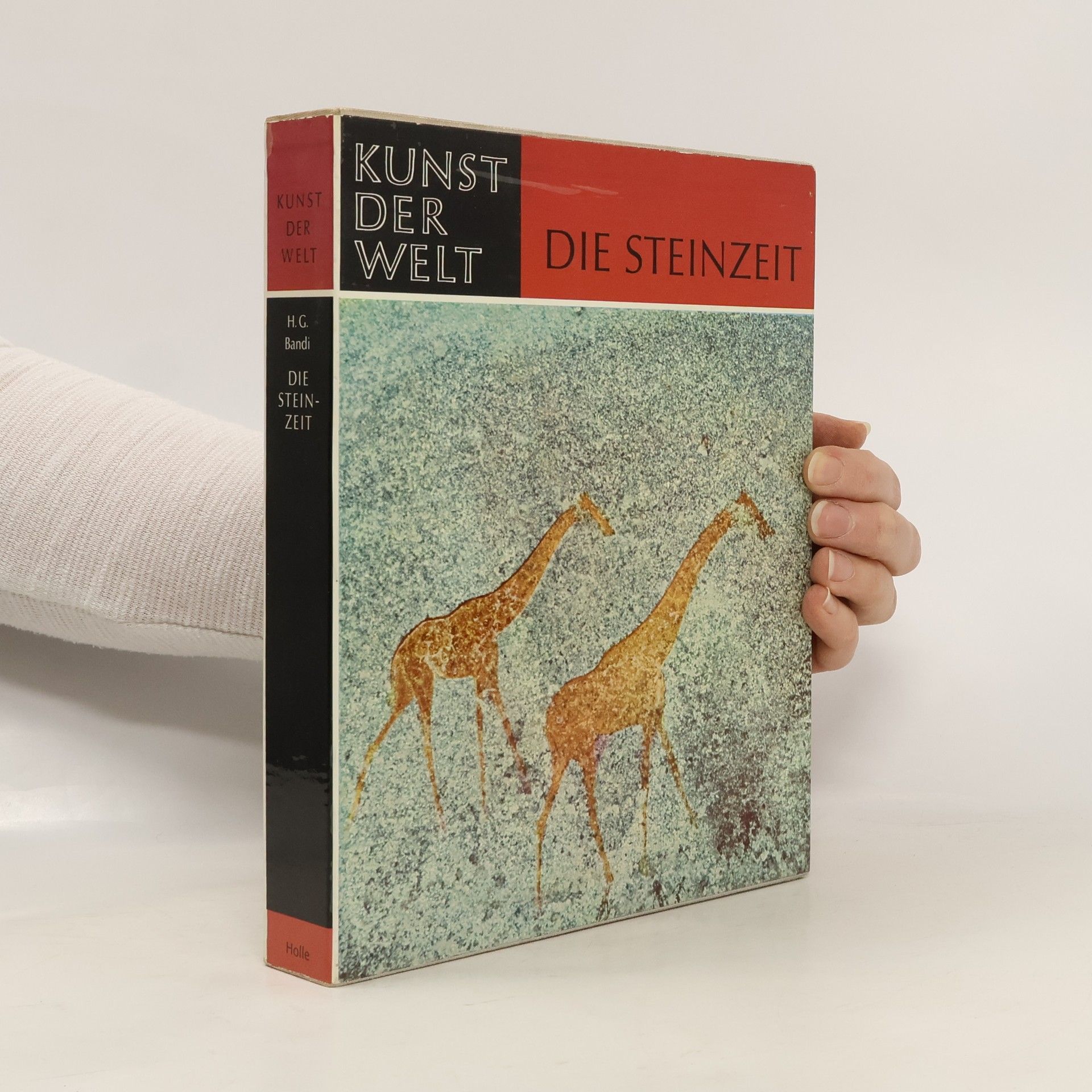 Autorenkollektiv Die Steinzeit