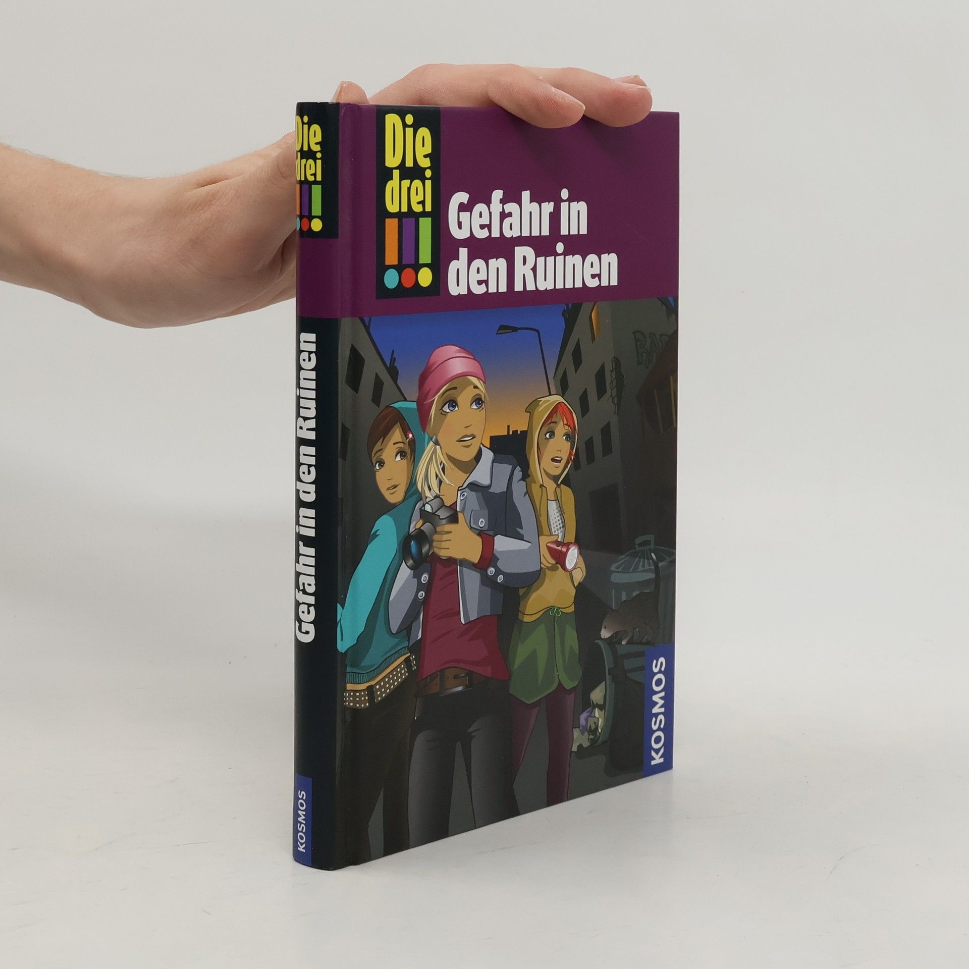 Maja von Vogel Gefahr in den Ruinen