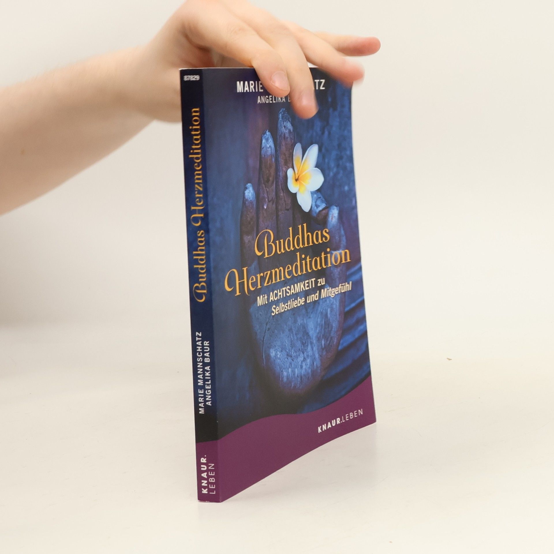 Buddhas Herzmeditation