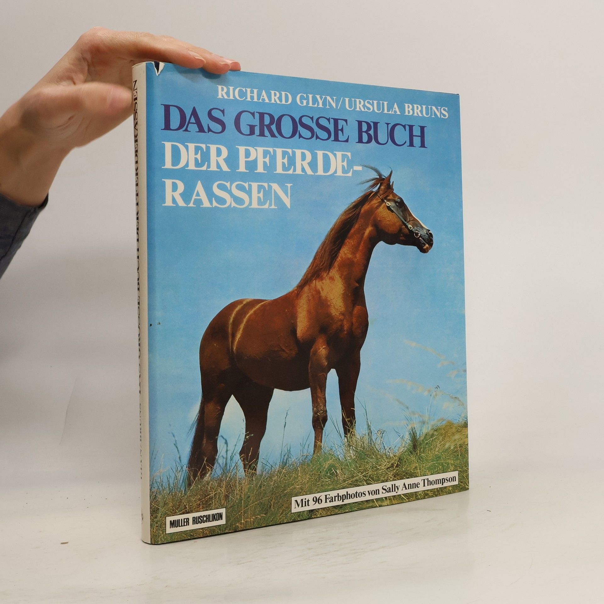 Das grosse Buch der Pferderassen