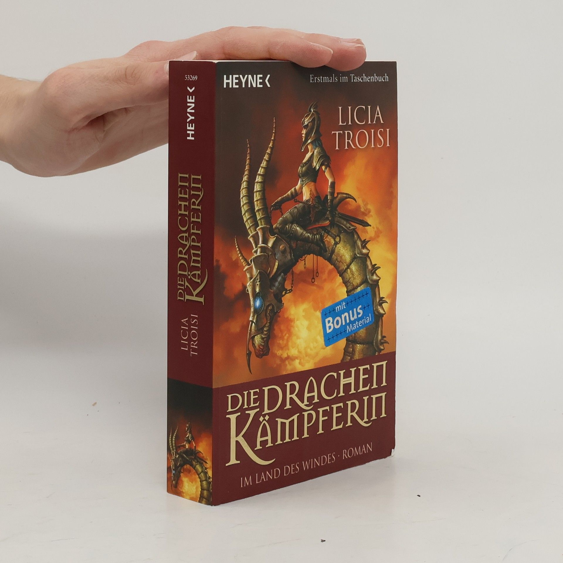 Die Drachenkämpferin