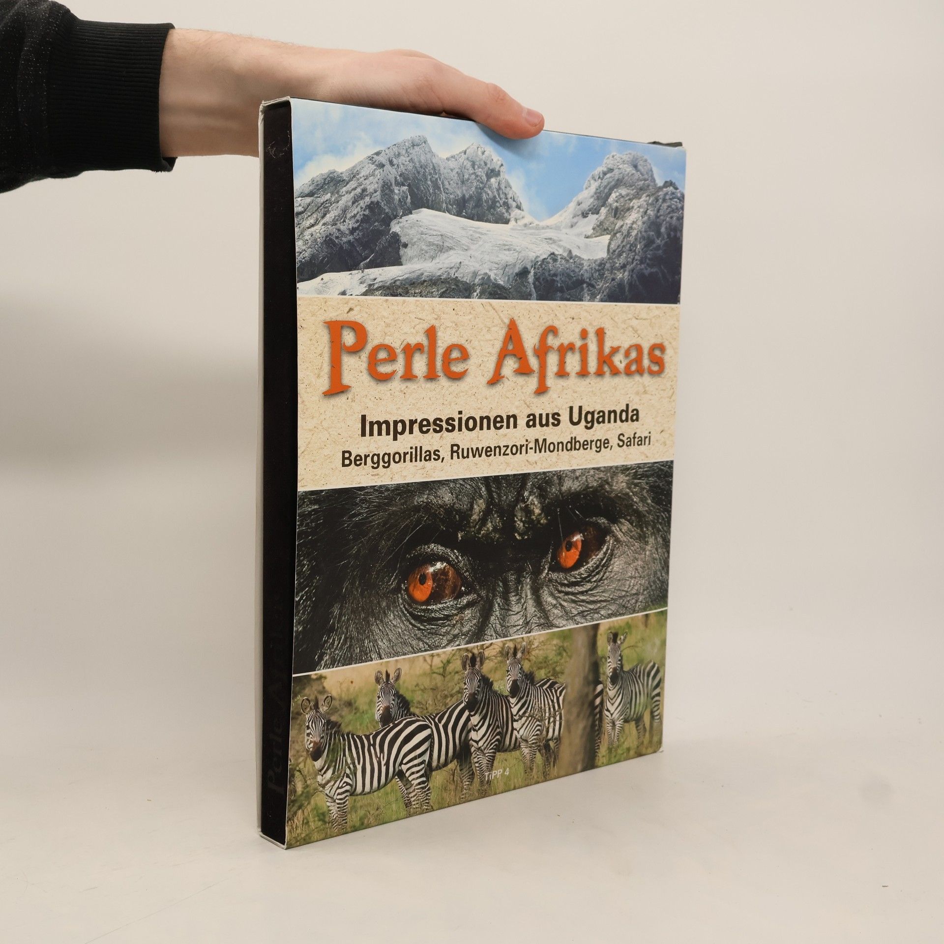 Autorenkollektiv Perle Afrikas