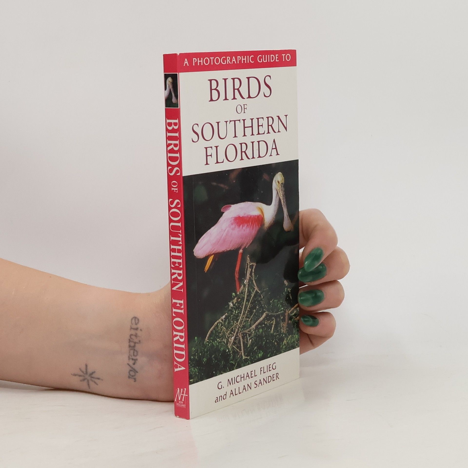 A Photographic Guide to Birds of Southern Florida
