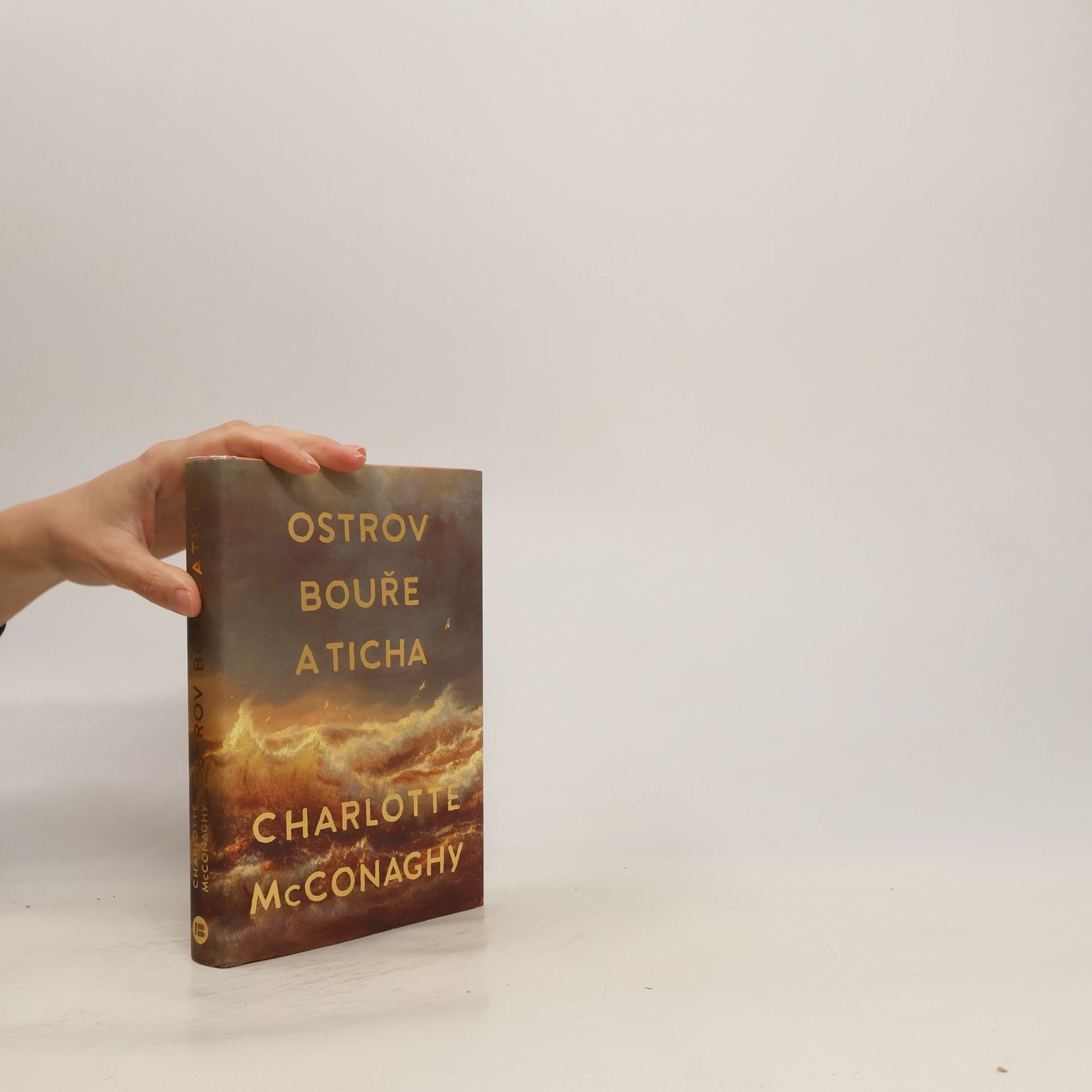 CHARLOTTE. MCCONAGHY Ostrov bouře a ticha