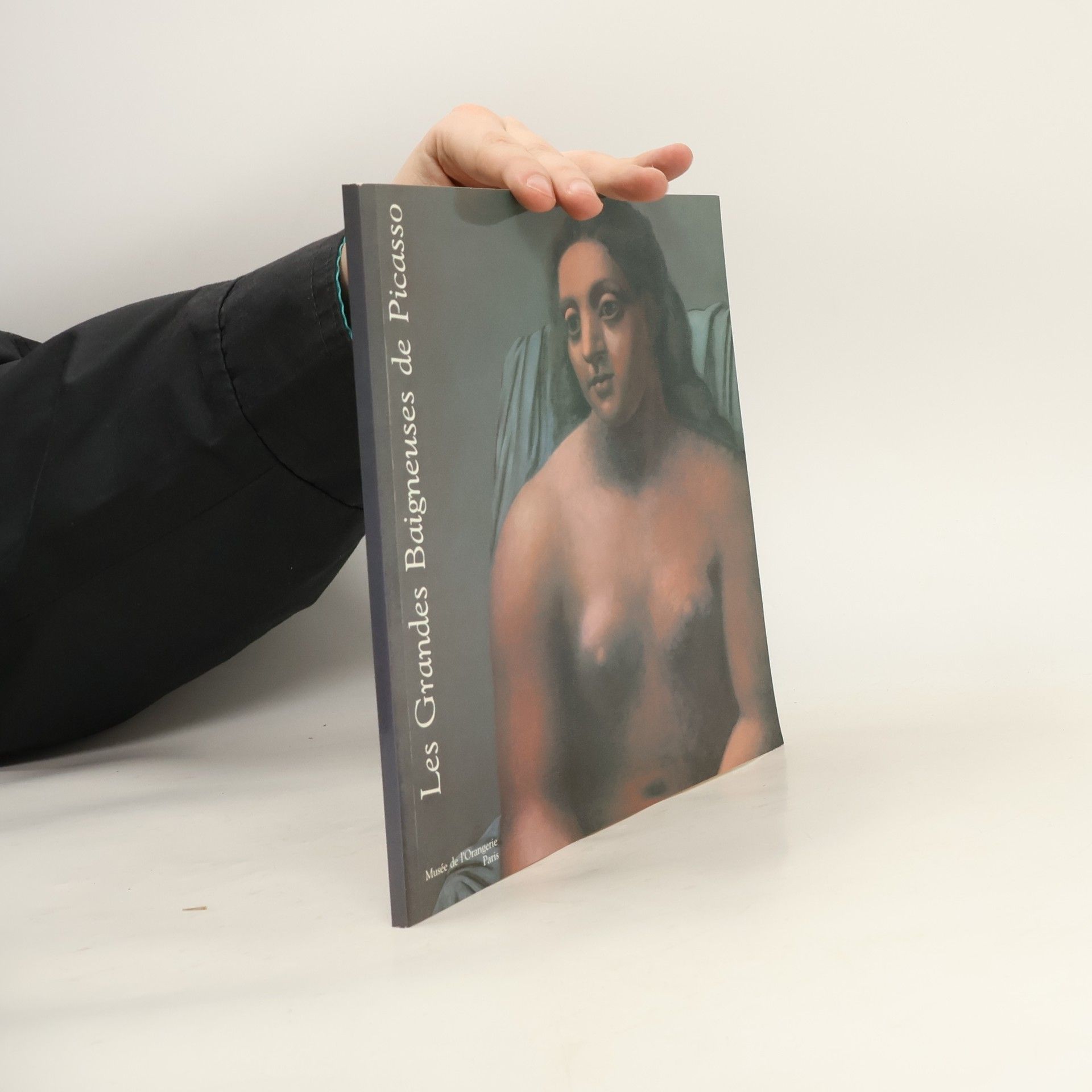 Les grandes baigneuses de Picasso