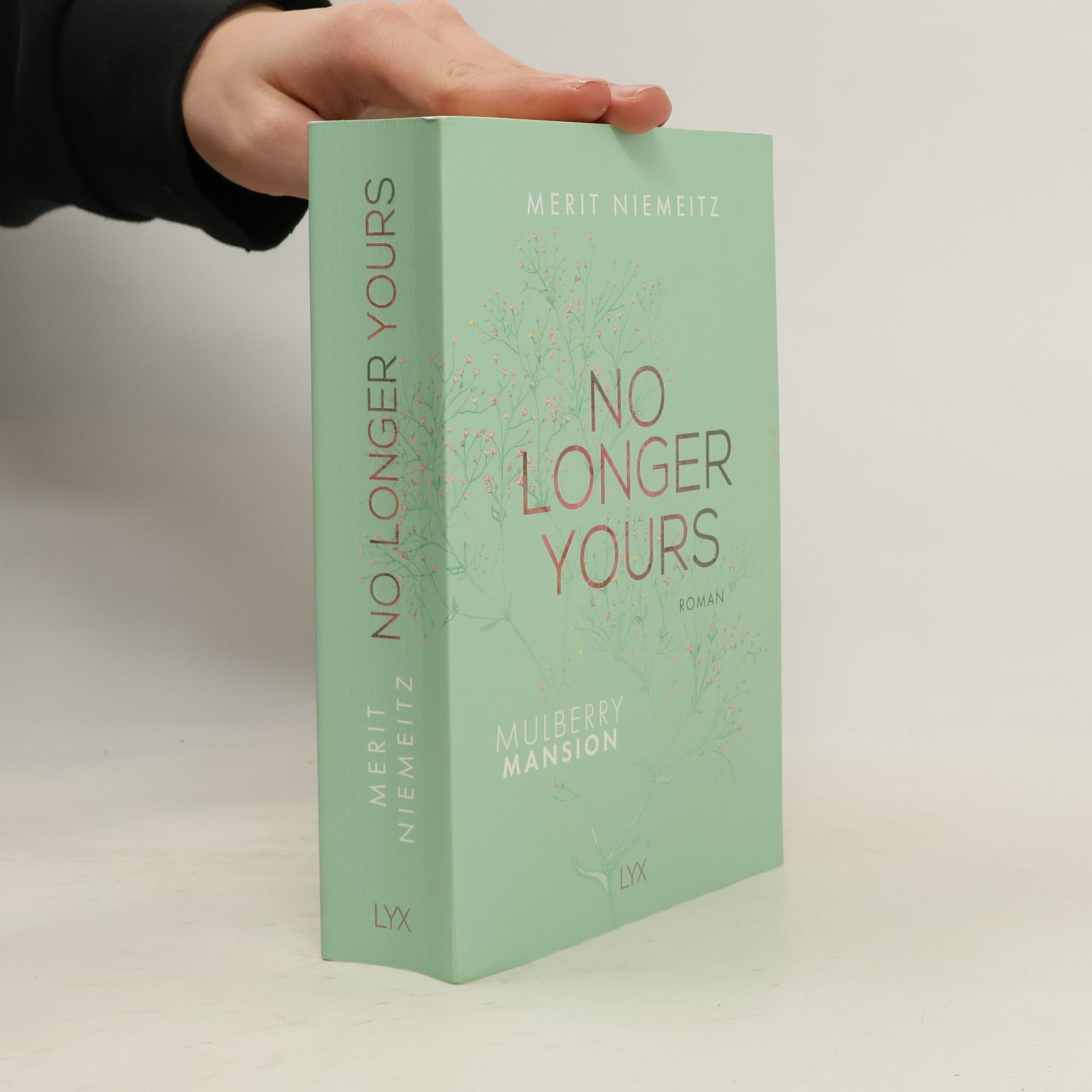 Merit Niemeitz No Longer Yours