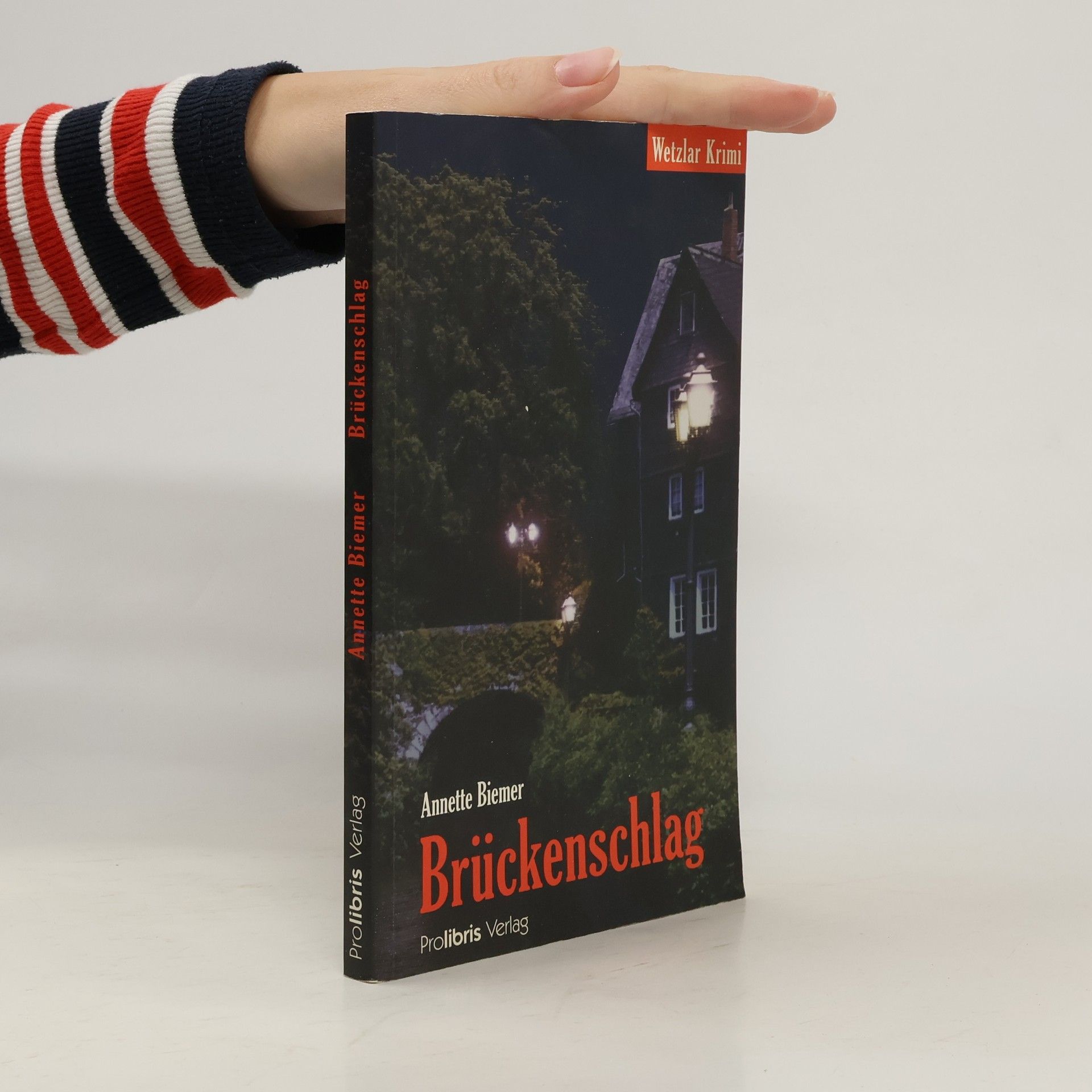 Annette Biemer Brückenschlag