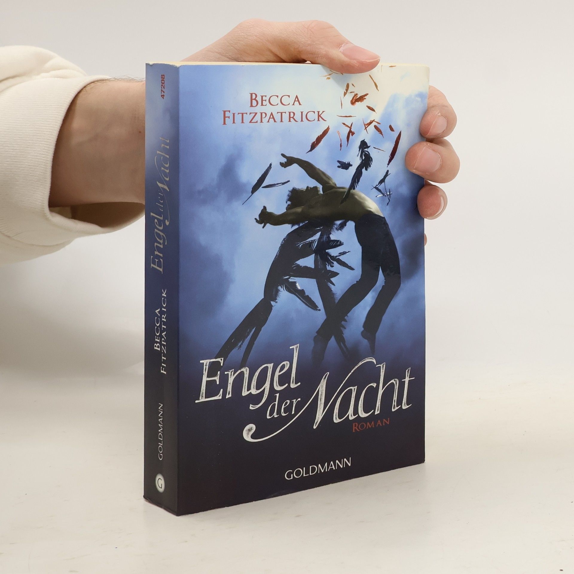 Becca Fitzpatrick Engel der Nacht
