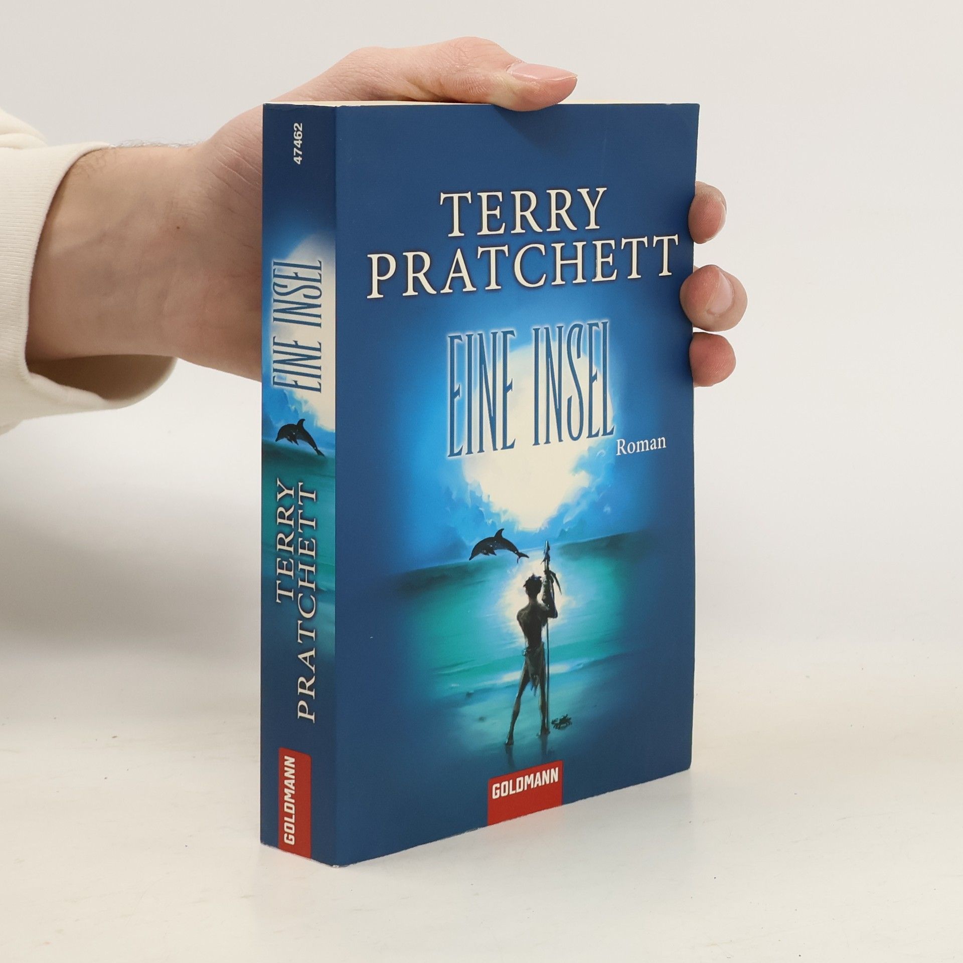 Terry Pratchett Eine Insel