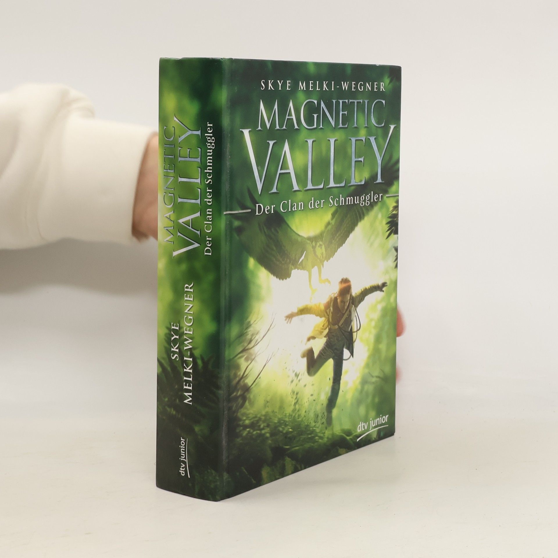 Skye Melki Wegner Magnetic Valley - Der Clan der Schmuggler
