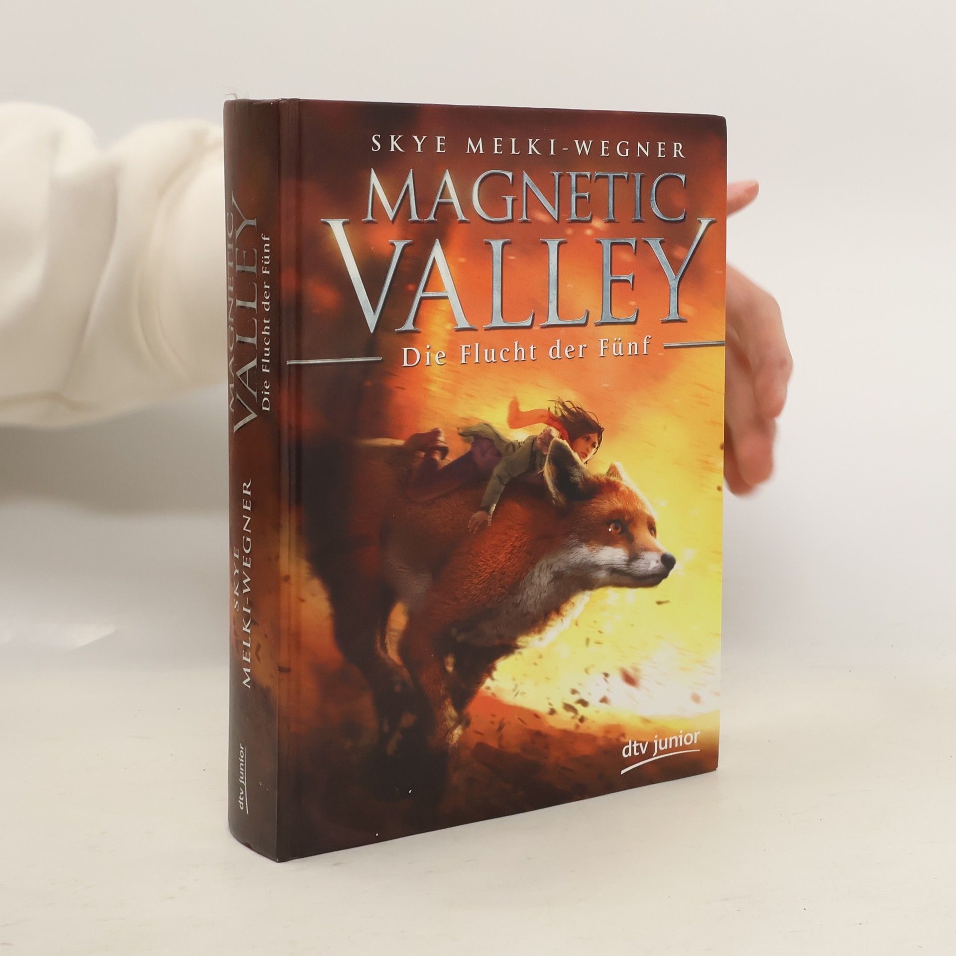 Skye Melki Wegner Magnetic Valley - Die Flucht der Fünf