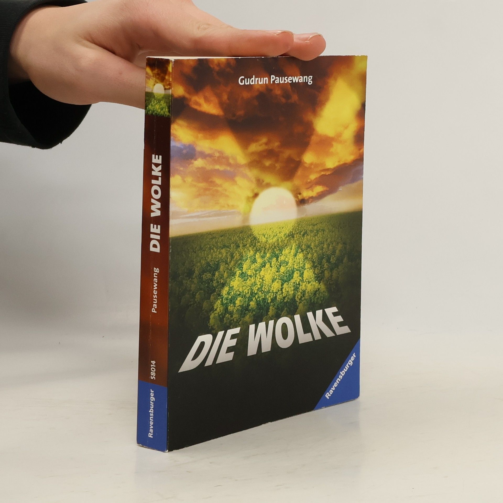 Gudrun Pausewang Die Wolke