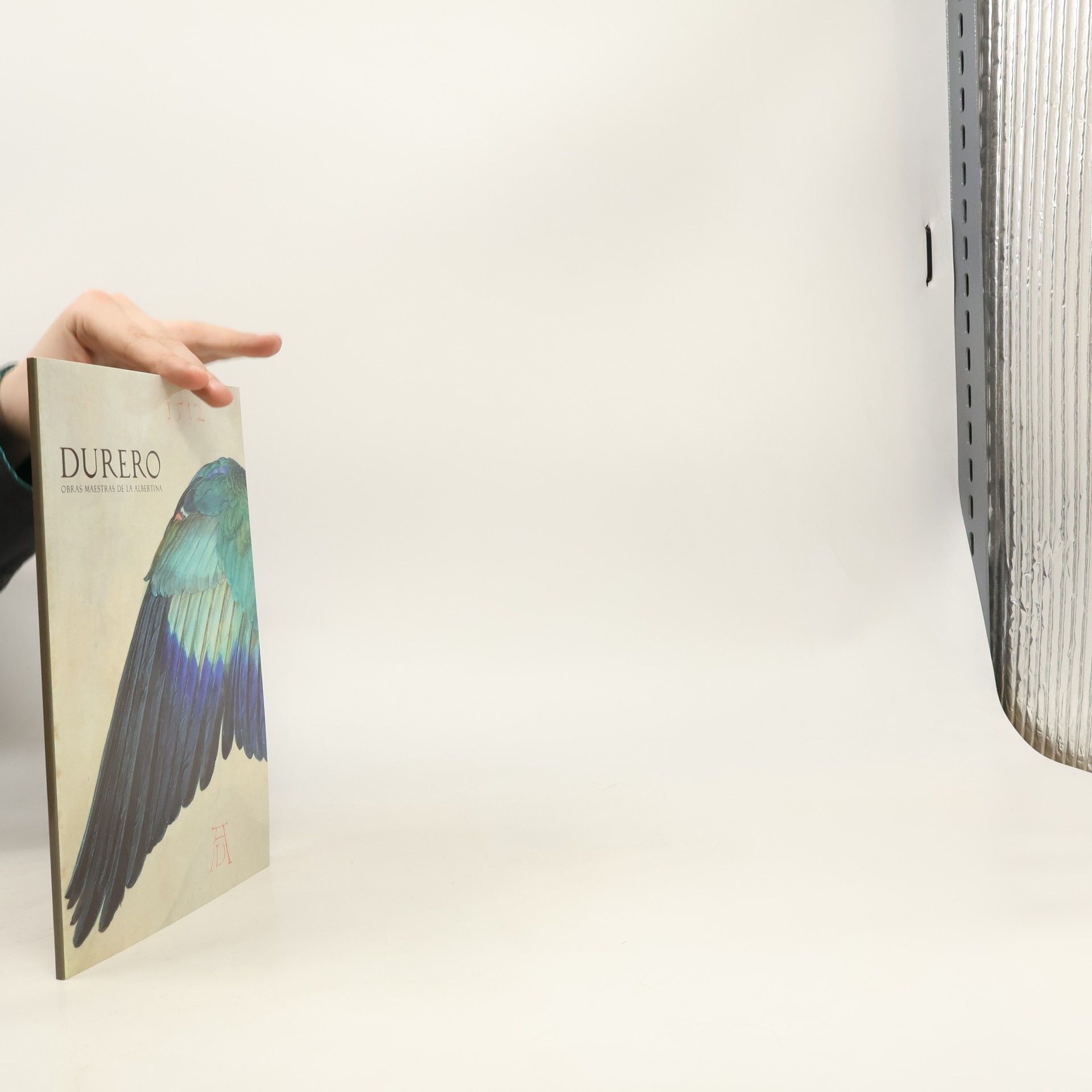 Durero, obras maestras de la Albertina